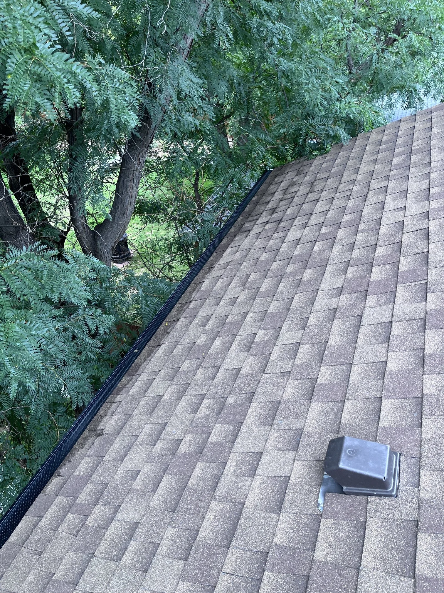 Finished gutter covers beneath the mature trees surrounding the Denver property.