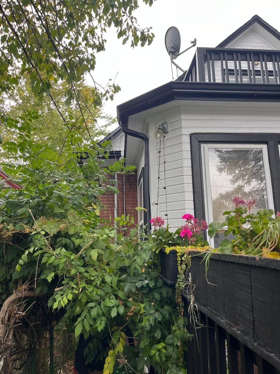Downspout and gutter installation beside a window and landscaped garden in Denver.