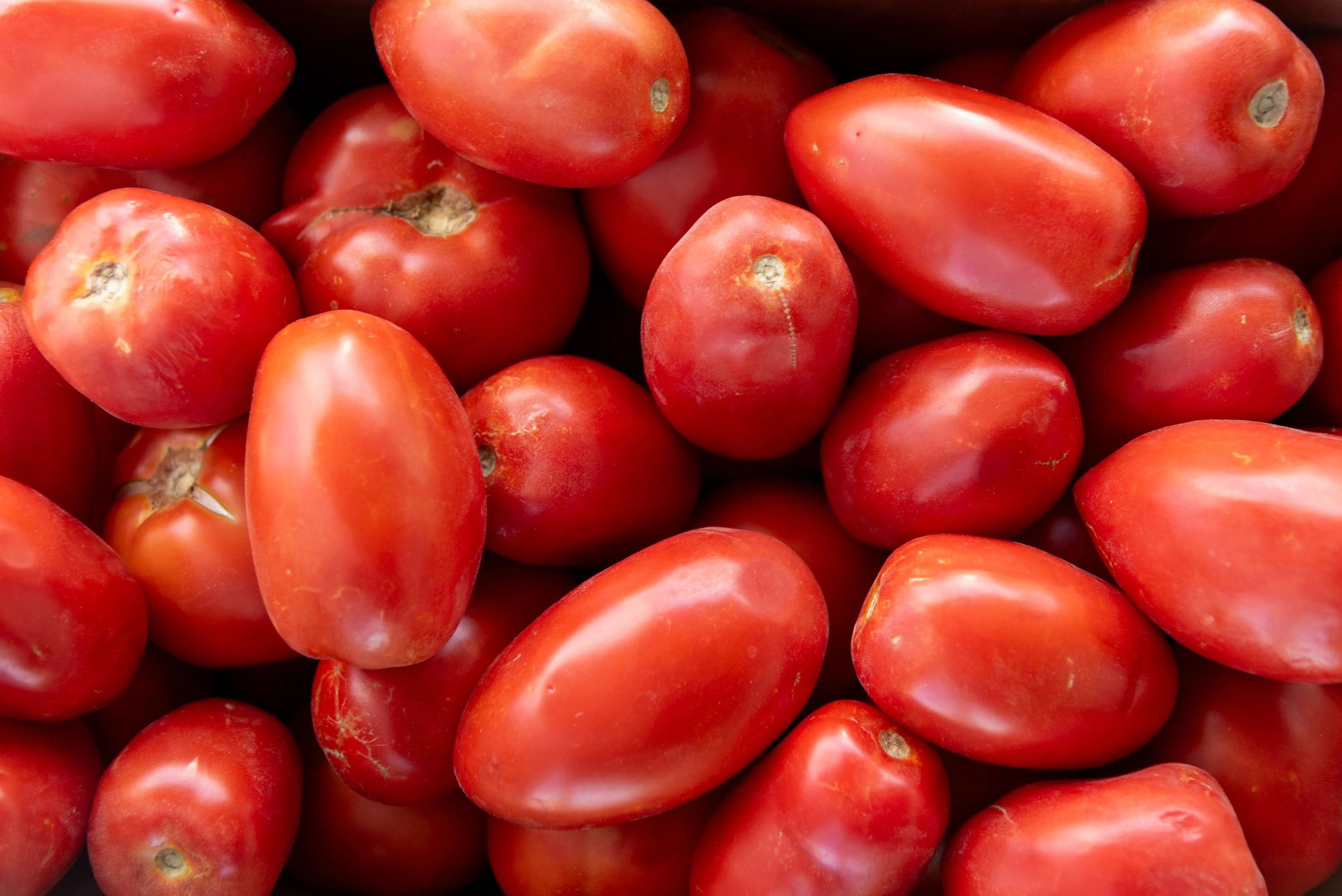 Tomatoes