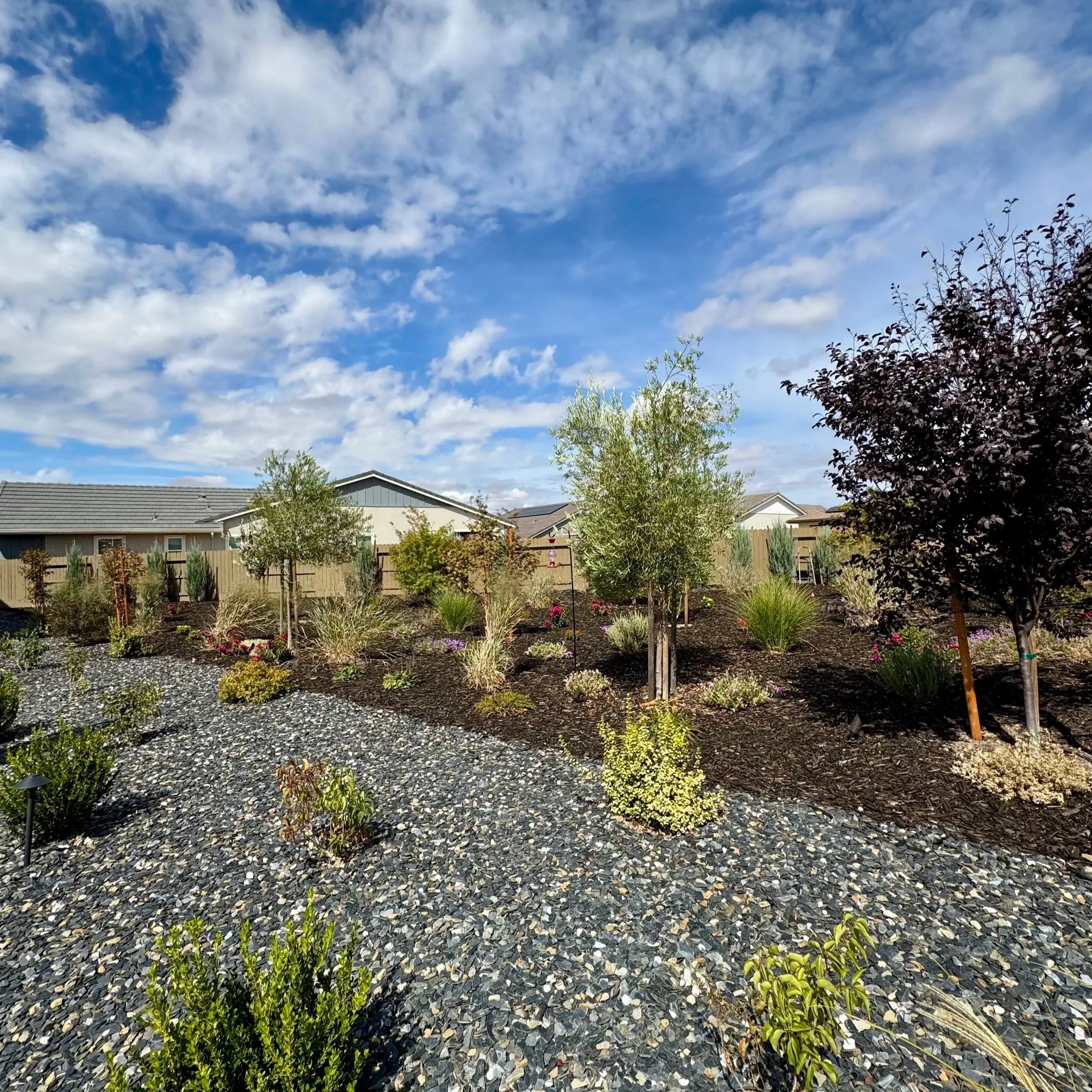 Trees, shrubs, & plants