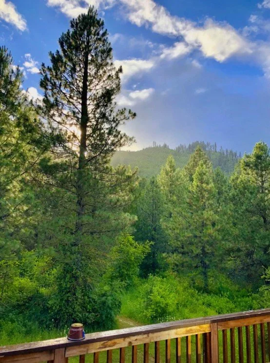 view from the deck.jpg