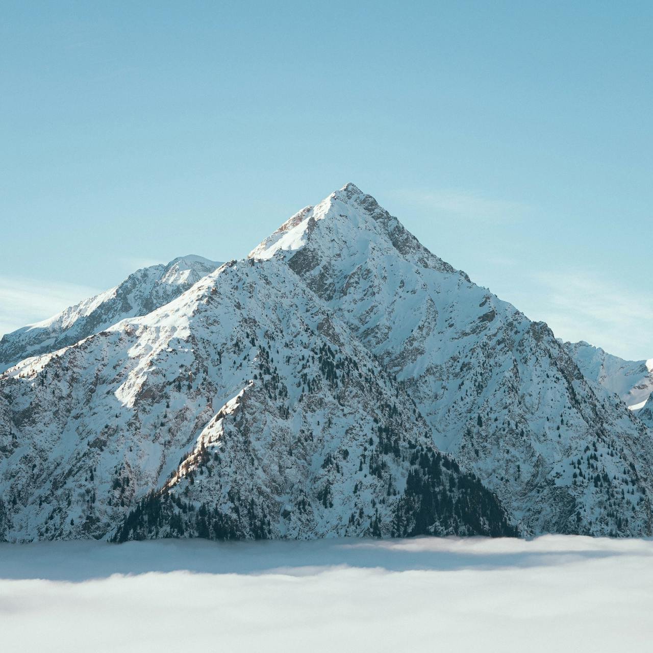 How Research Can Add Life to Your Story