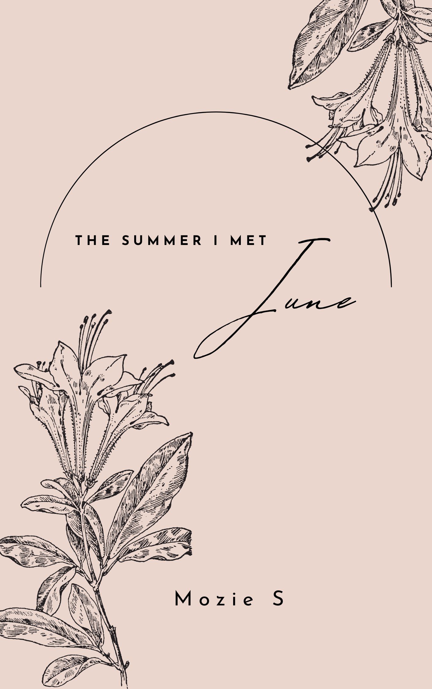 Book Only - Summer I Met June
