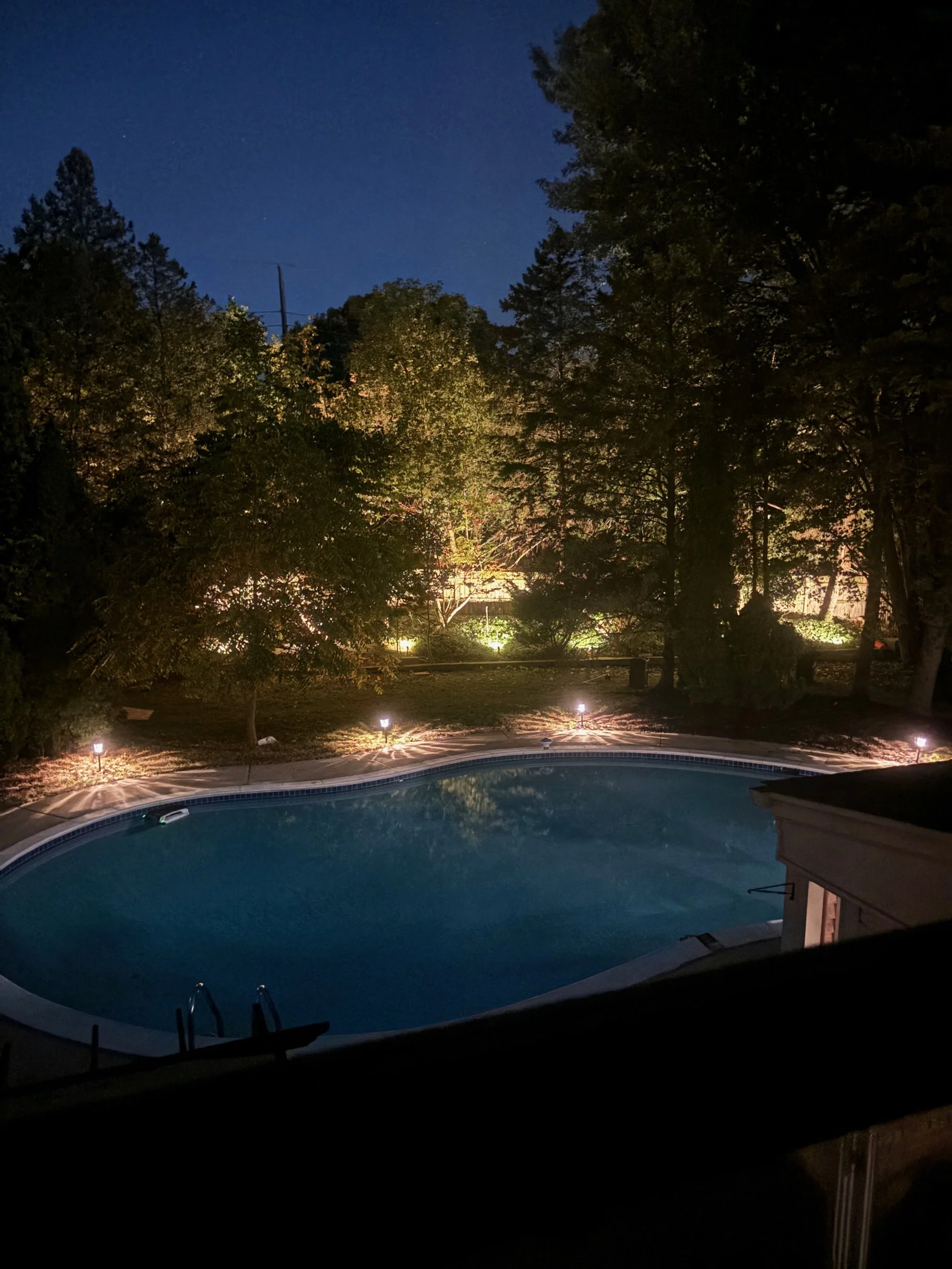 Backyard with landscape lighting