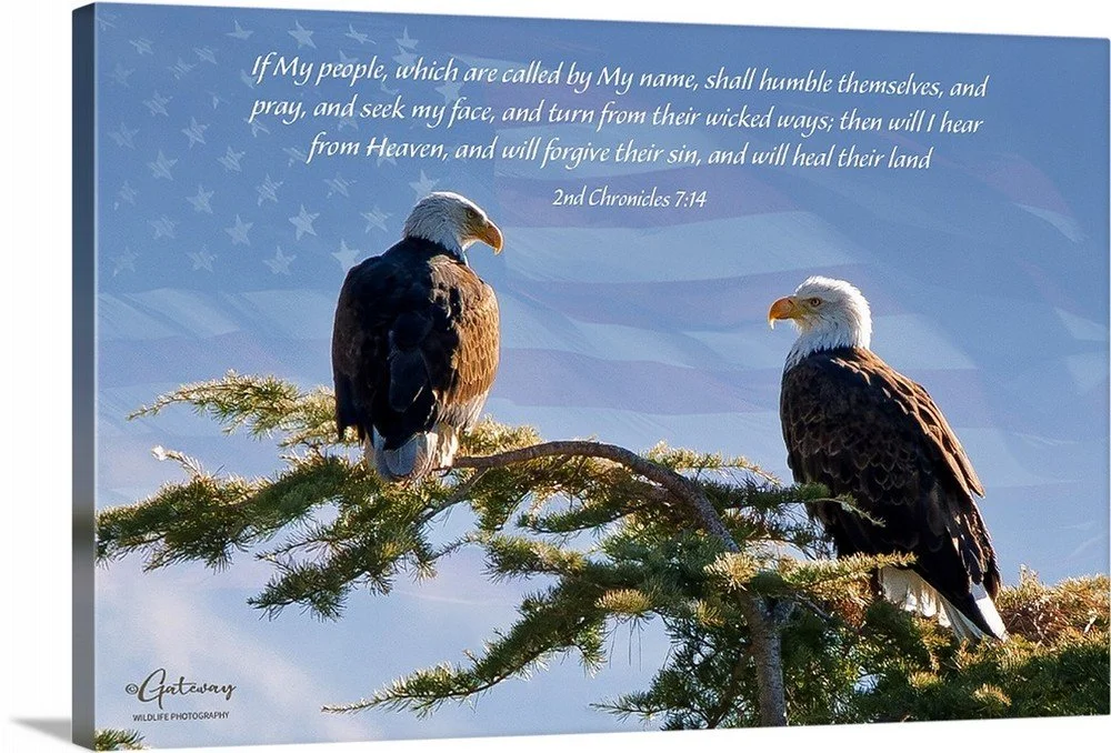 if my people display shot.jpg