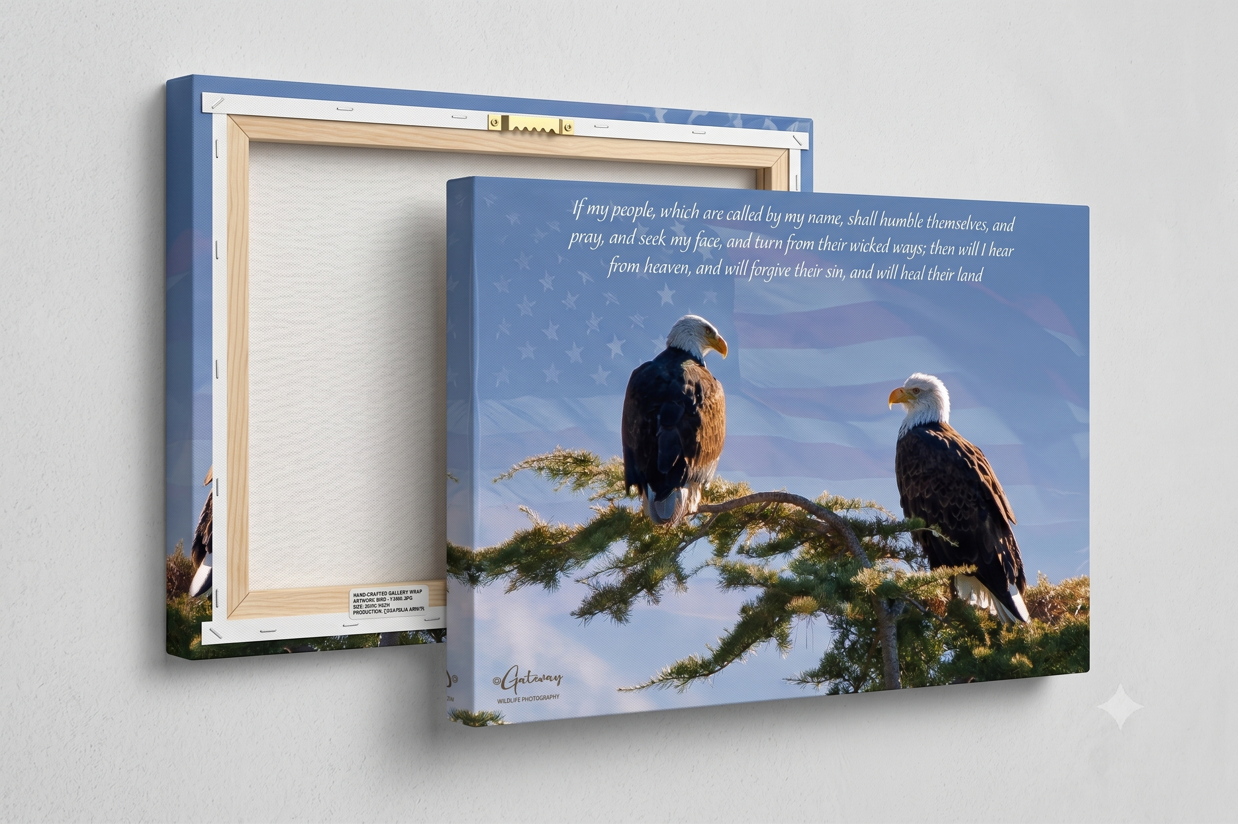 eagles canvas wrap.png