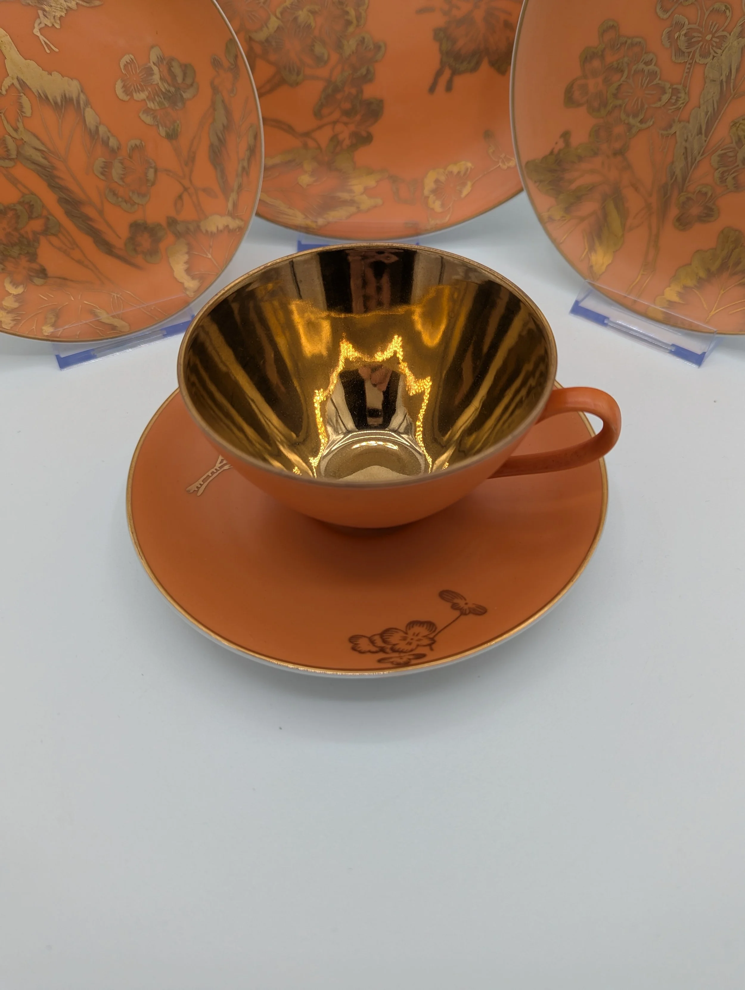 PXL_20250927_230107083.jpg