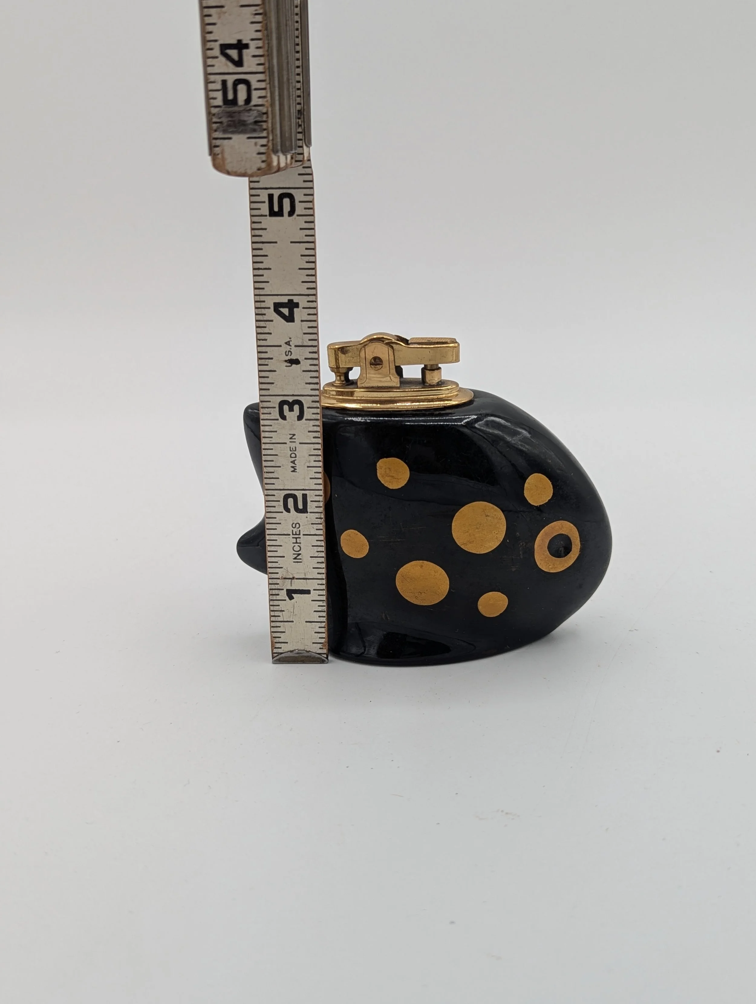 PXL_20250930_203151065.jpg