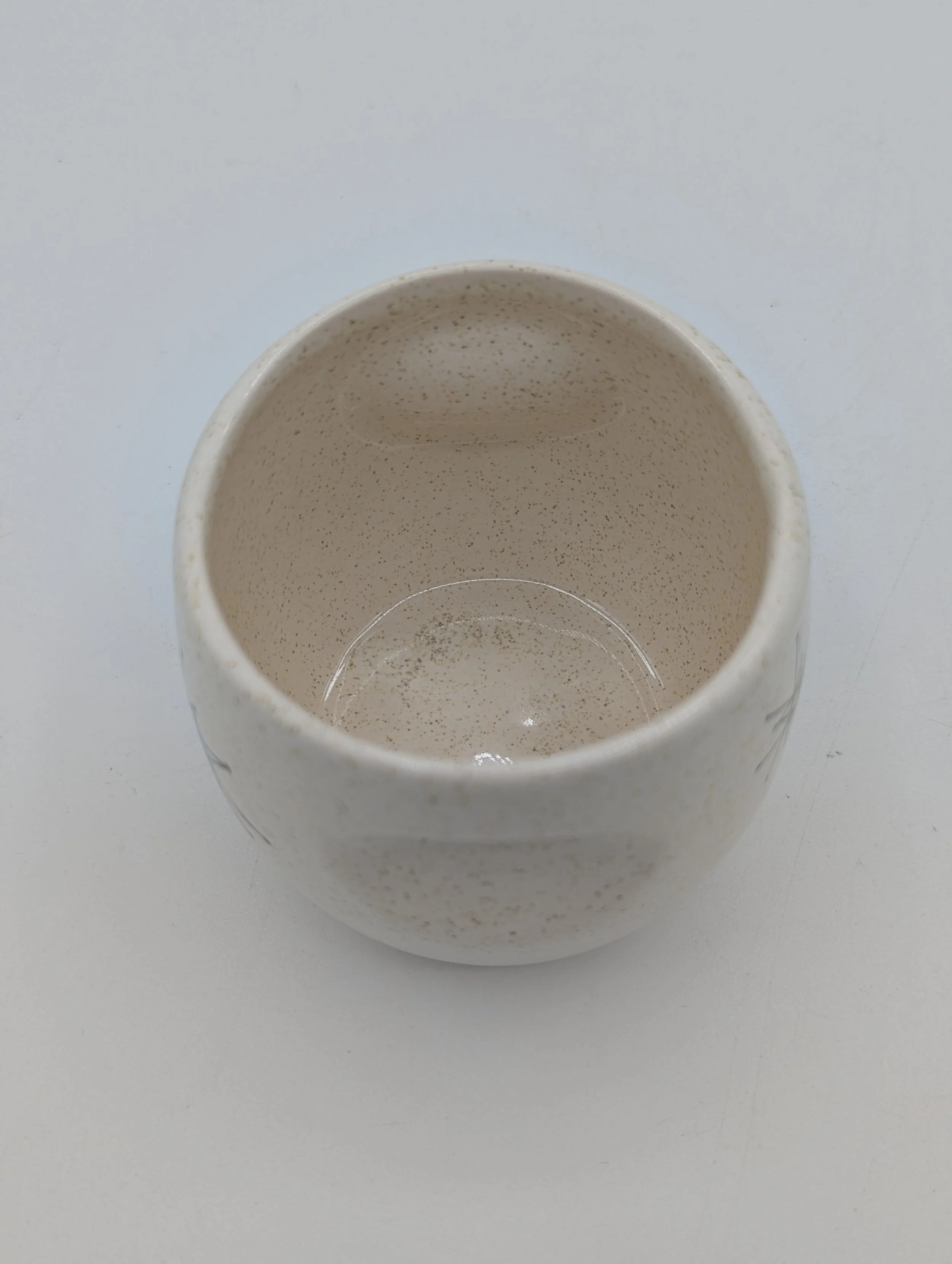 PXL_20250925_233722972.jpg