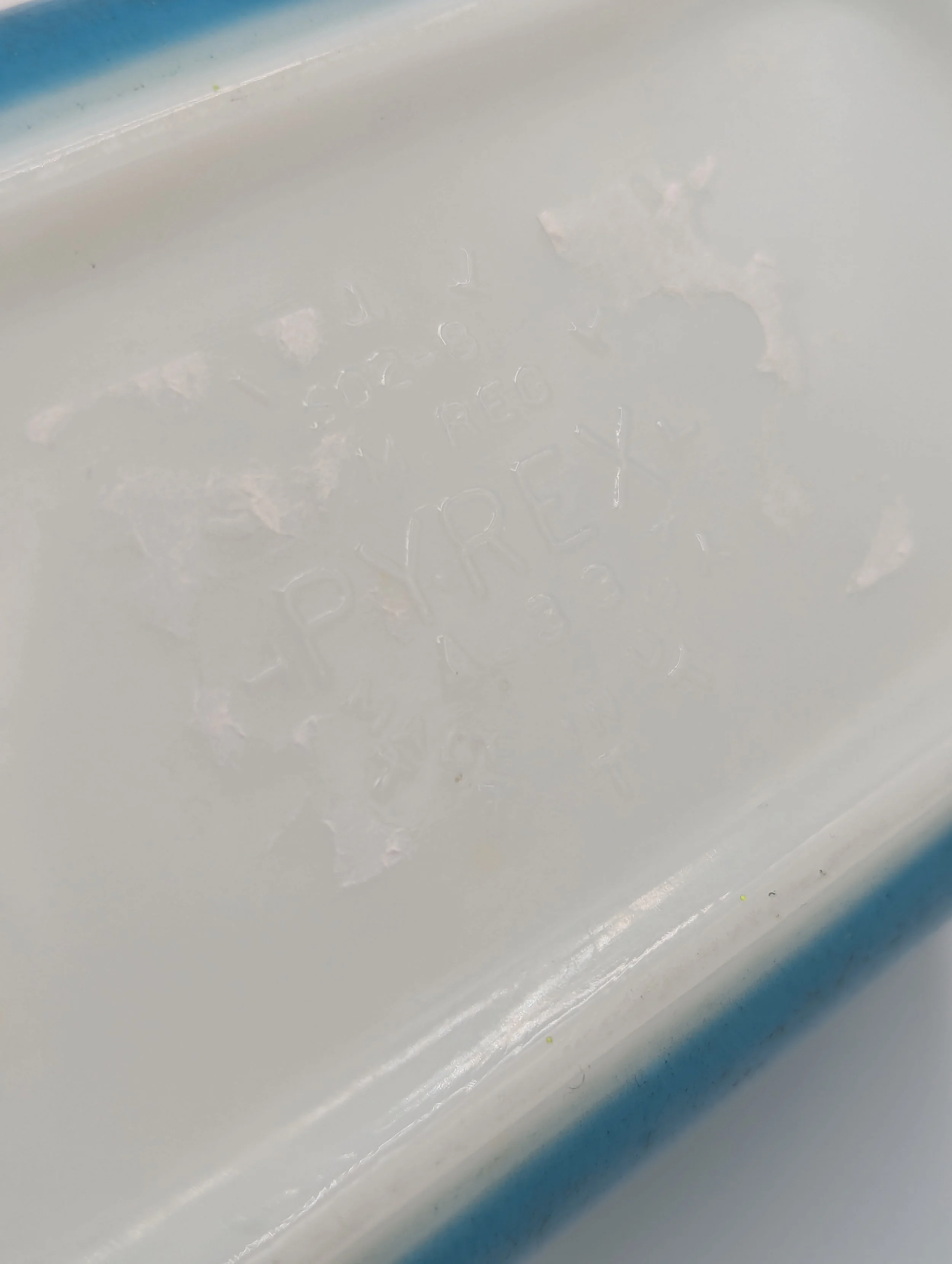 PXL_20250930_223029076.jpg