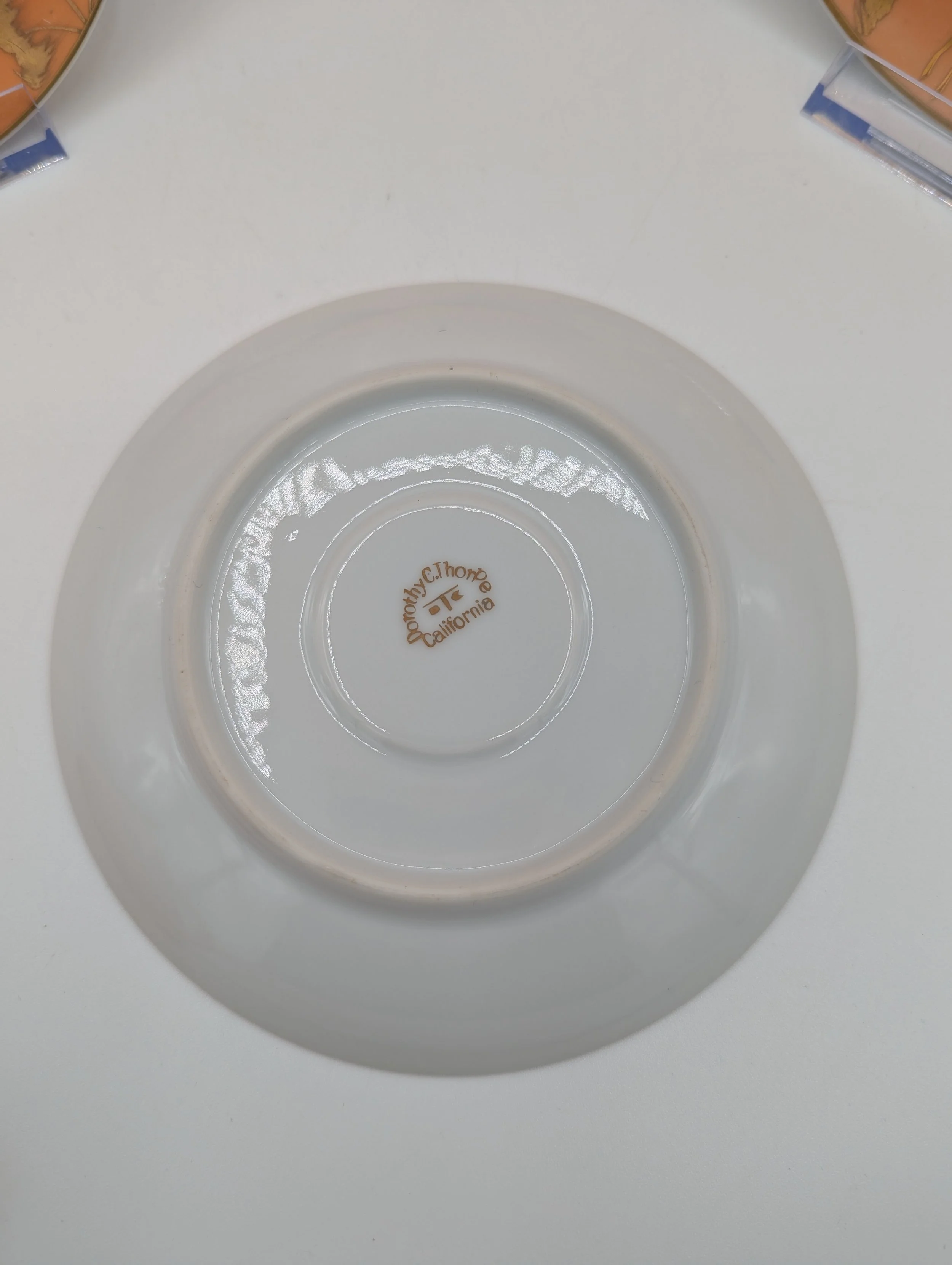 PXL_20250927_230131185.jpg