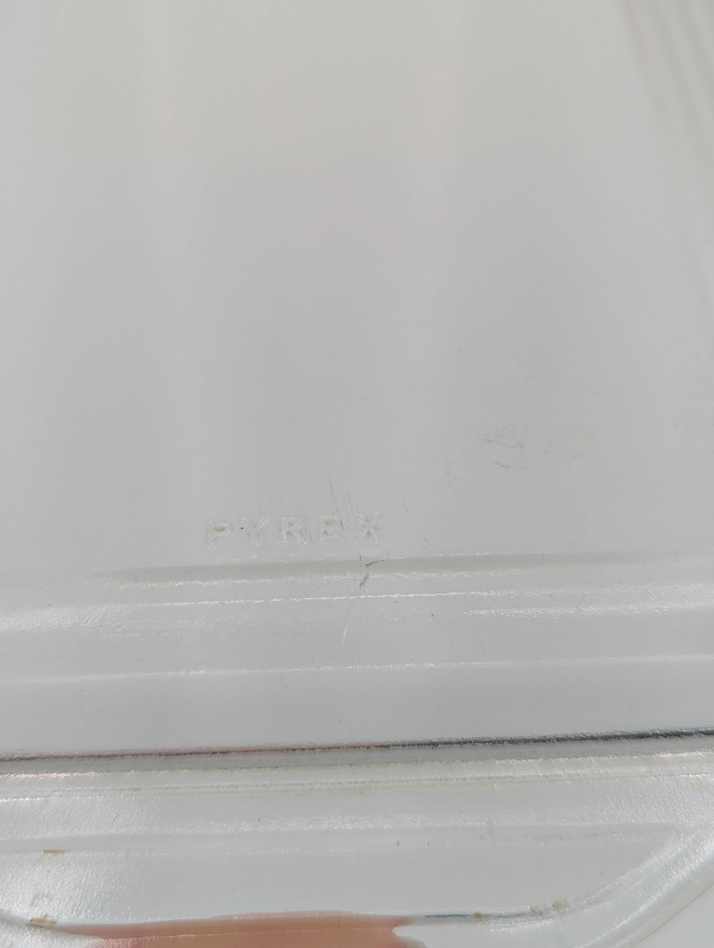 PXL_20251002_204500433.jpg