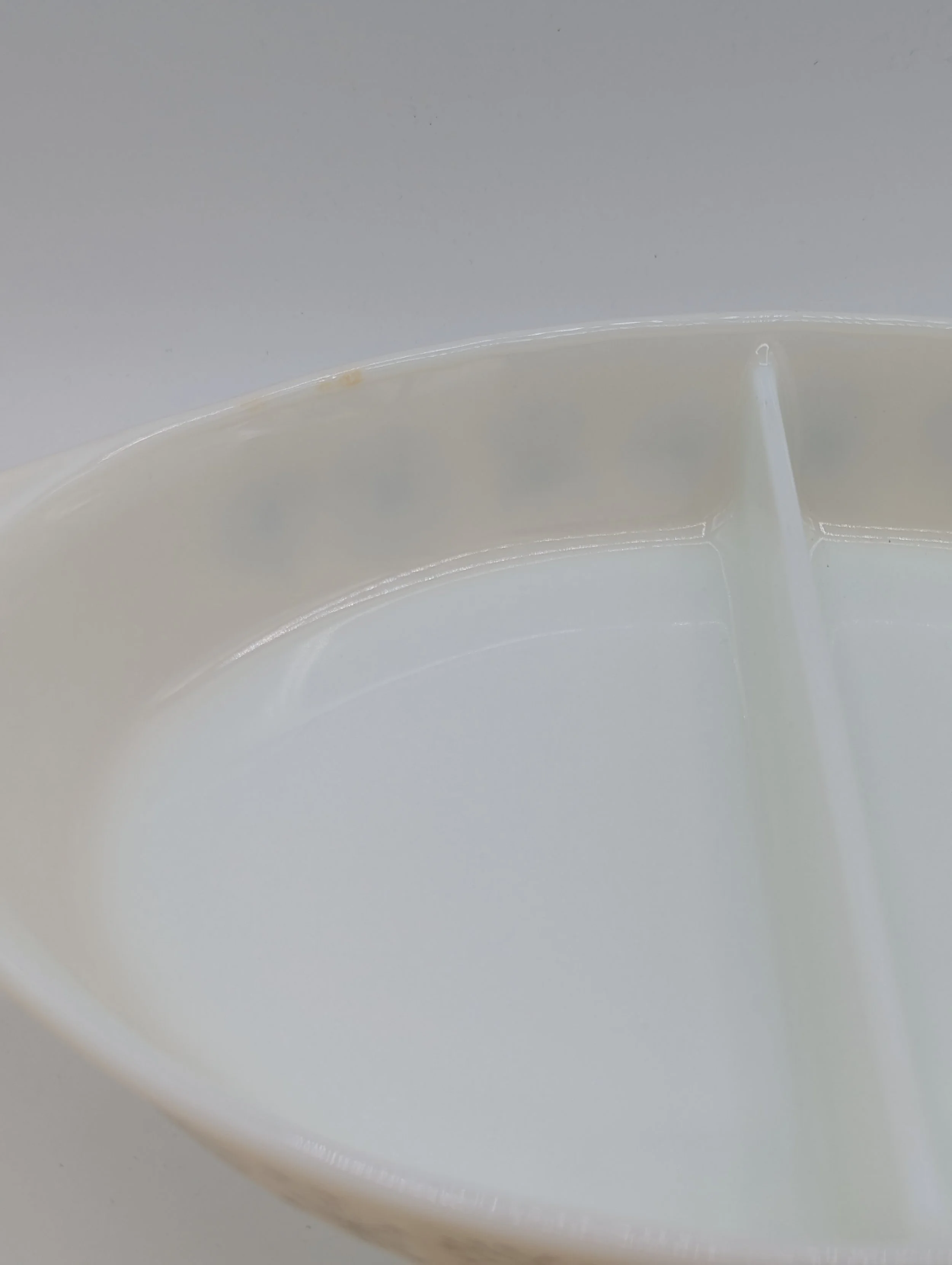 PXL_20251002_200135857.jpg