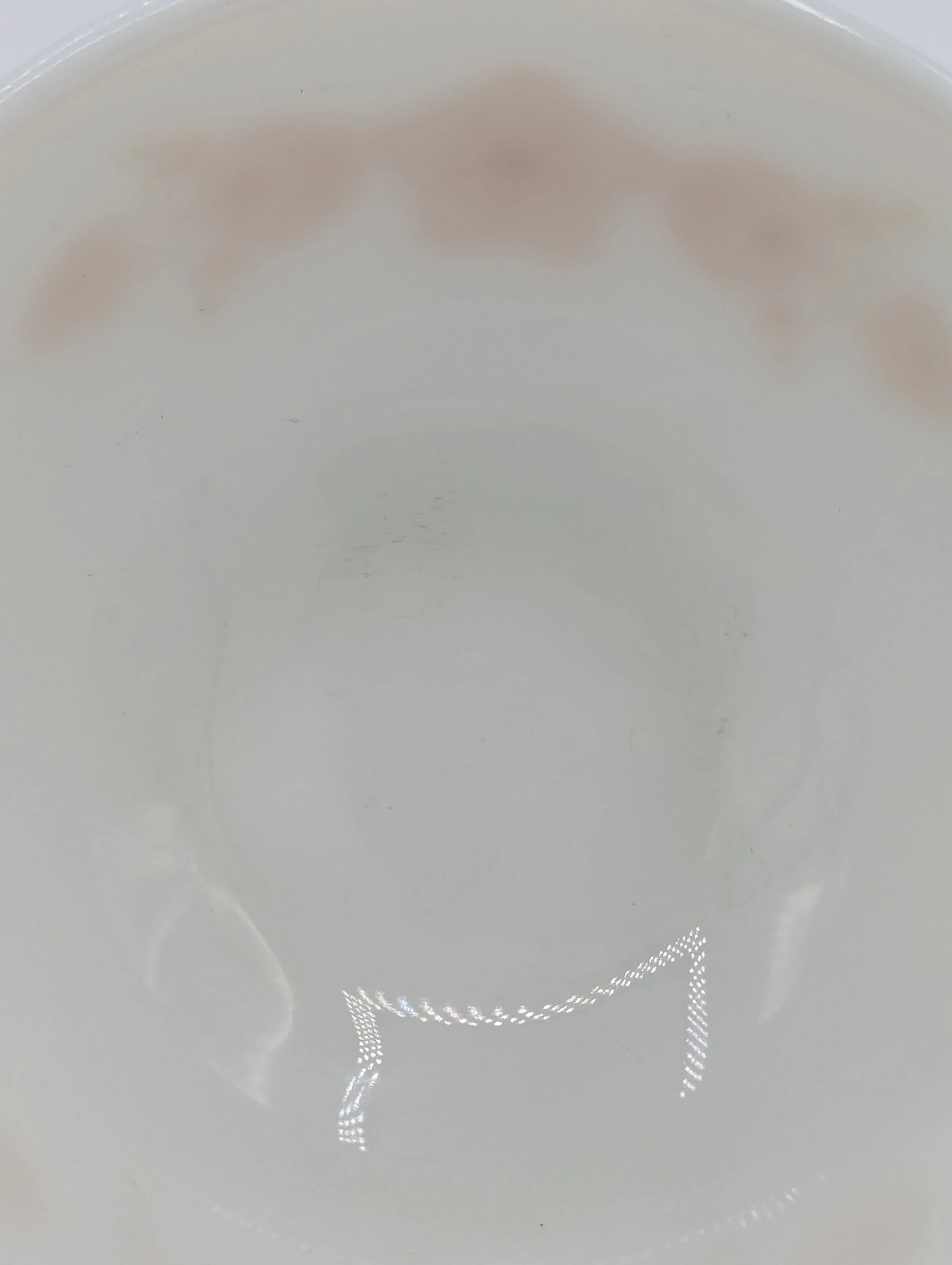 PXL_20250930_221510975.jpg