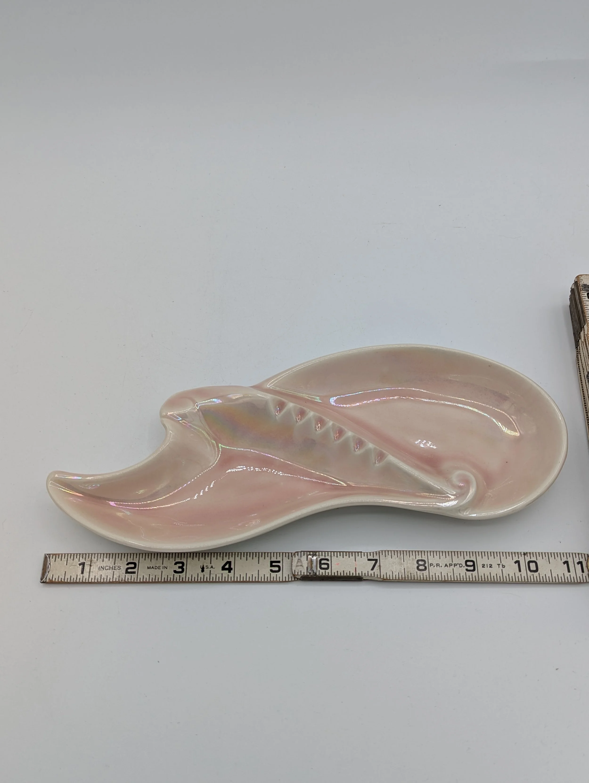 PXL_20250923_180144973.jpg