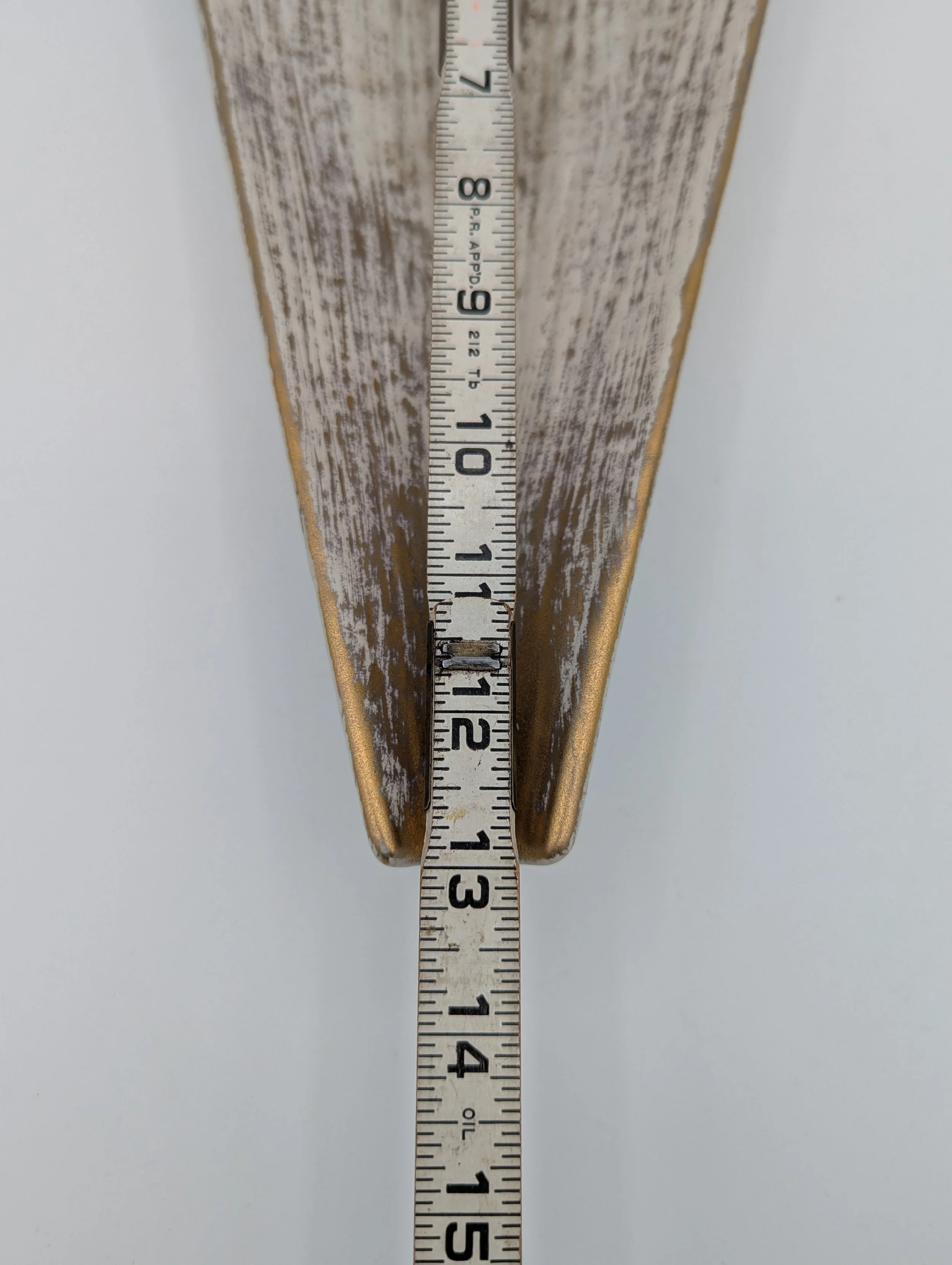 PXL_20250923_195438358.jpg