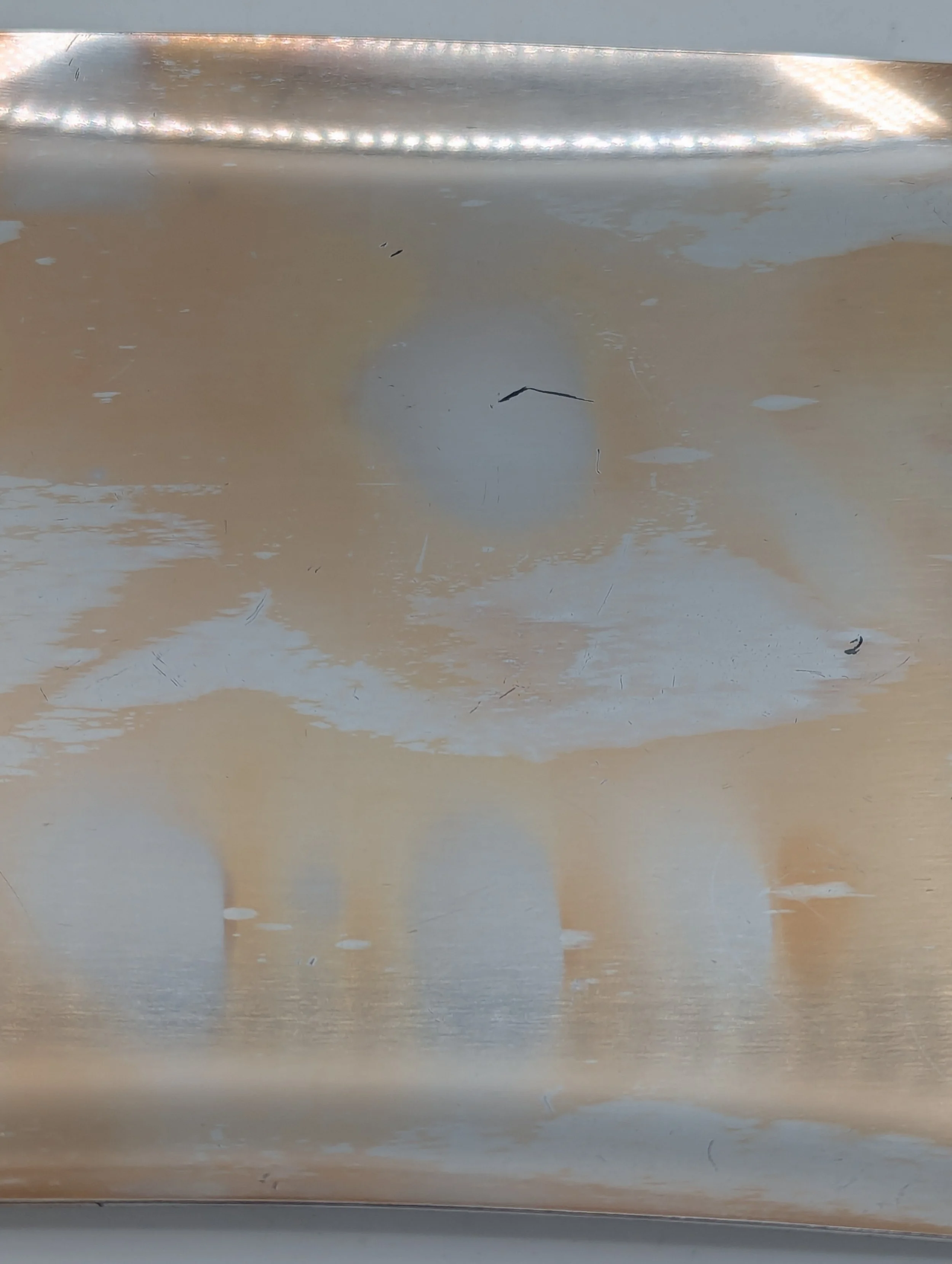PXL_20251004_214644058.jpg