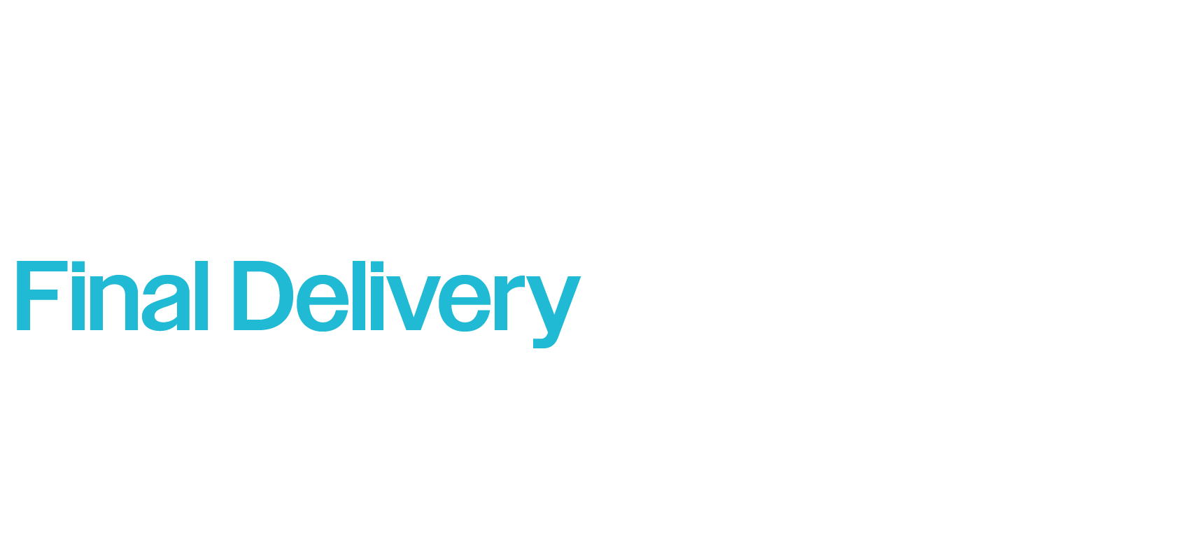 Page number 04 with the phrase "Final Delivery" in large blue text. Below, there is a paragraph about packaging designs in various formats for print, digital, and social media, ready for branding.