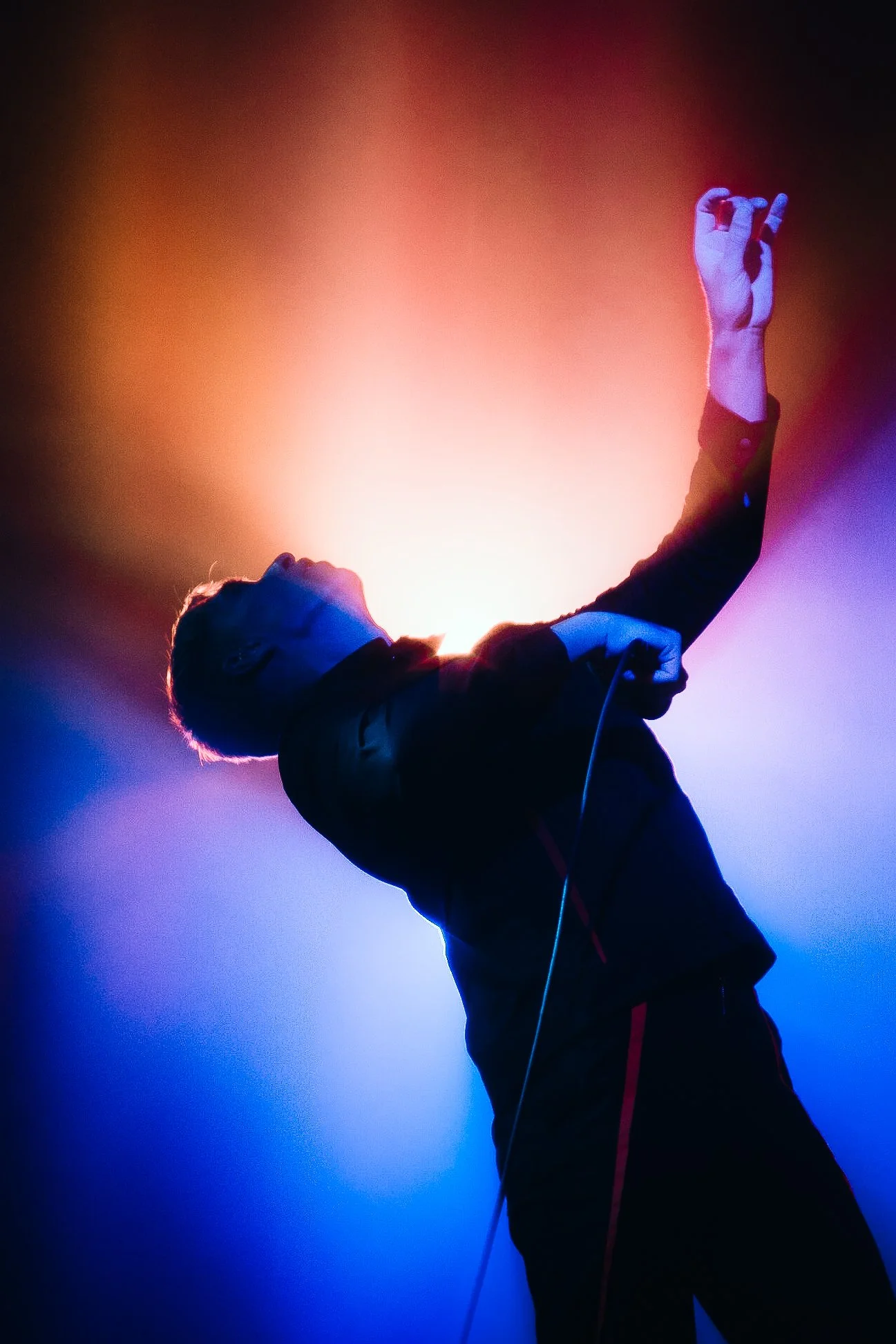 The Drums, 2019