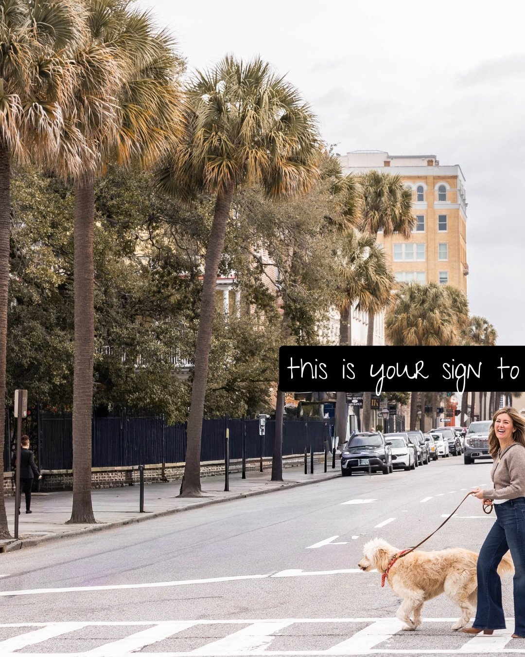 You could be settled in by Fall, the best time for downtown strolls with pups in tow 🐶✨