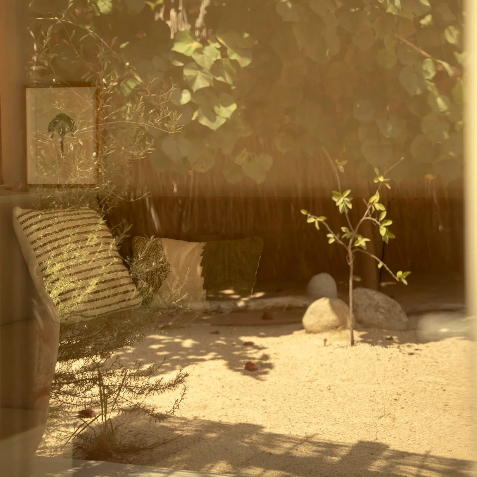 Proyecto Palmita - Baja California Sur