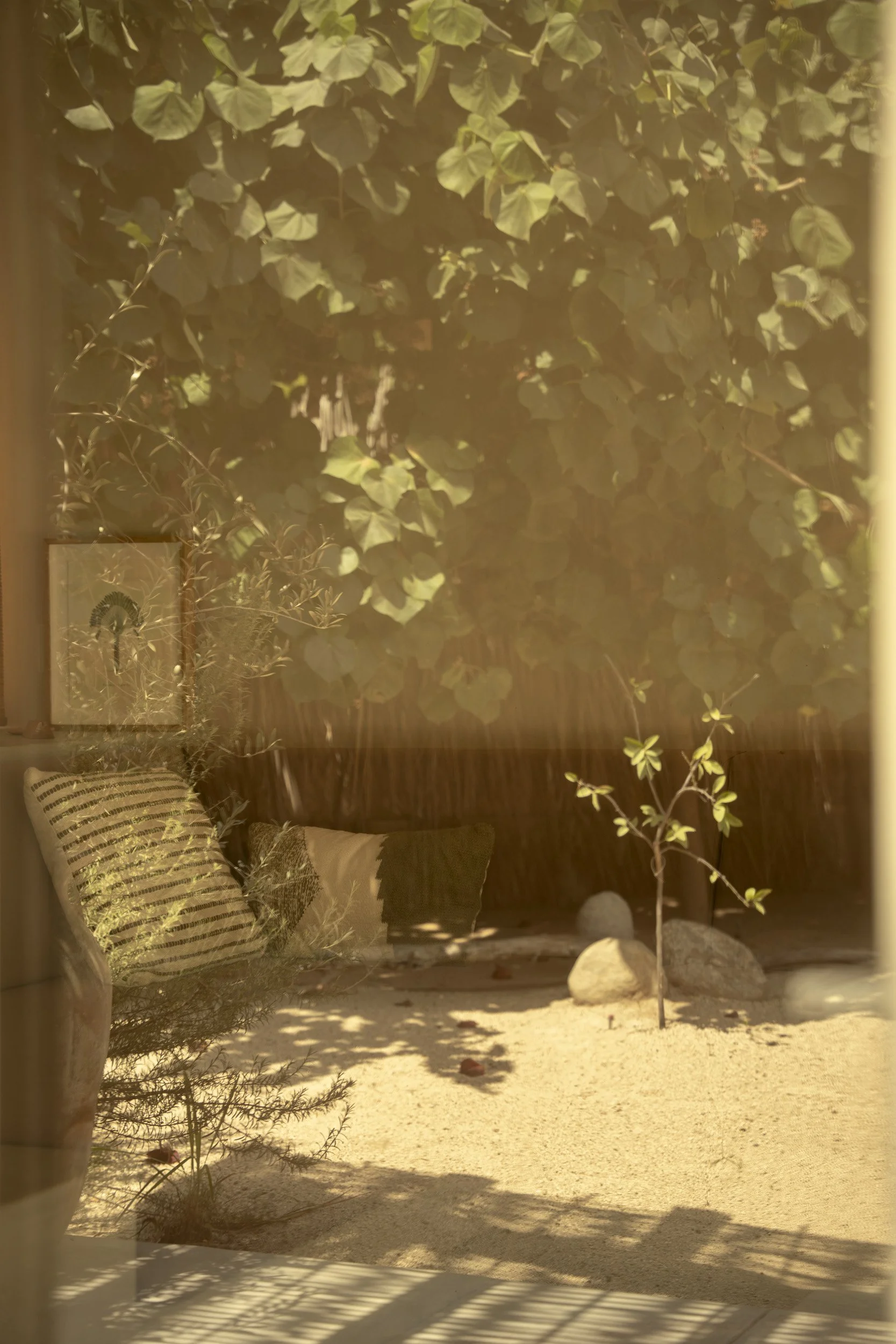 Proyecto Palmita Comprimido-9.jpg