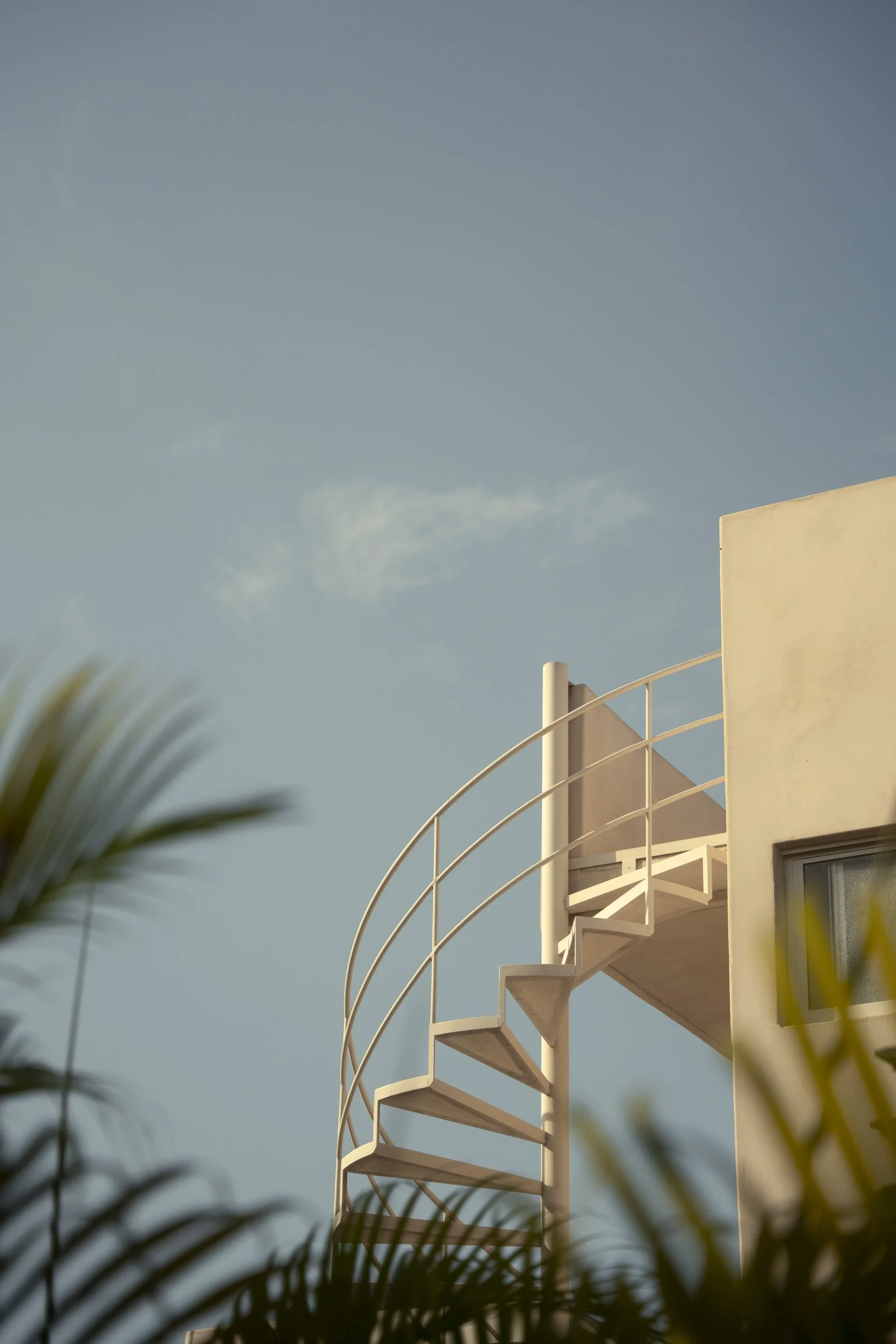 Proyecto Palmita Comprimido-21.jpg
