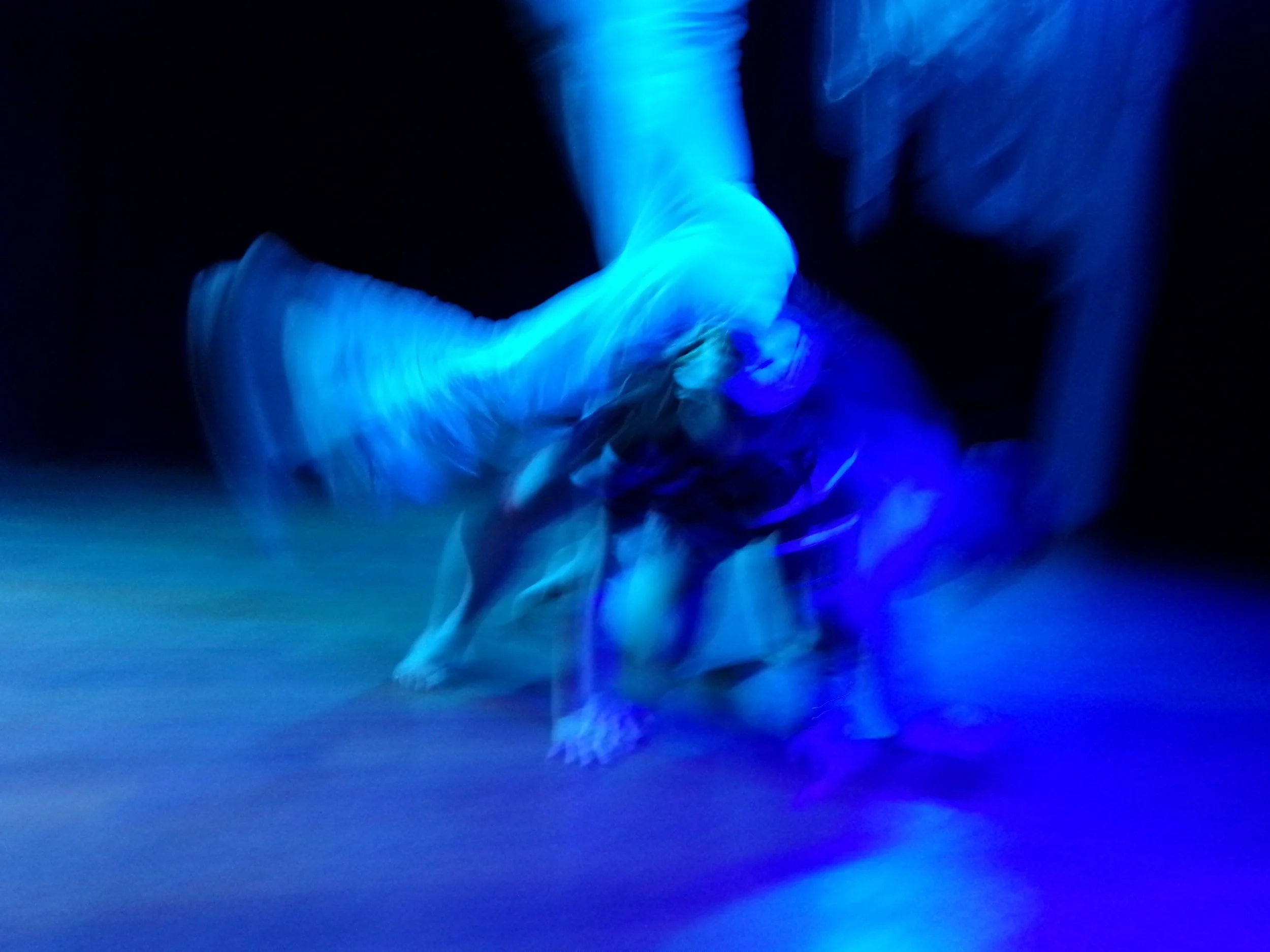 100_0106.JPG