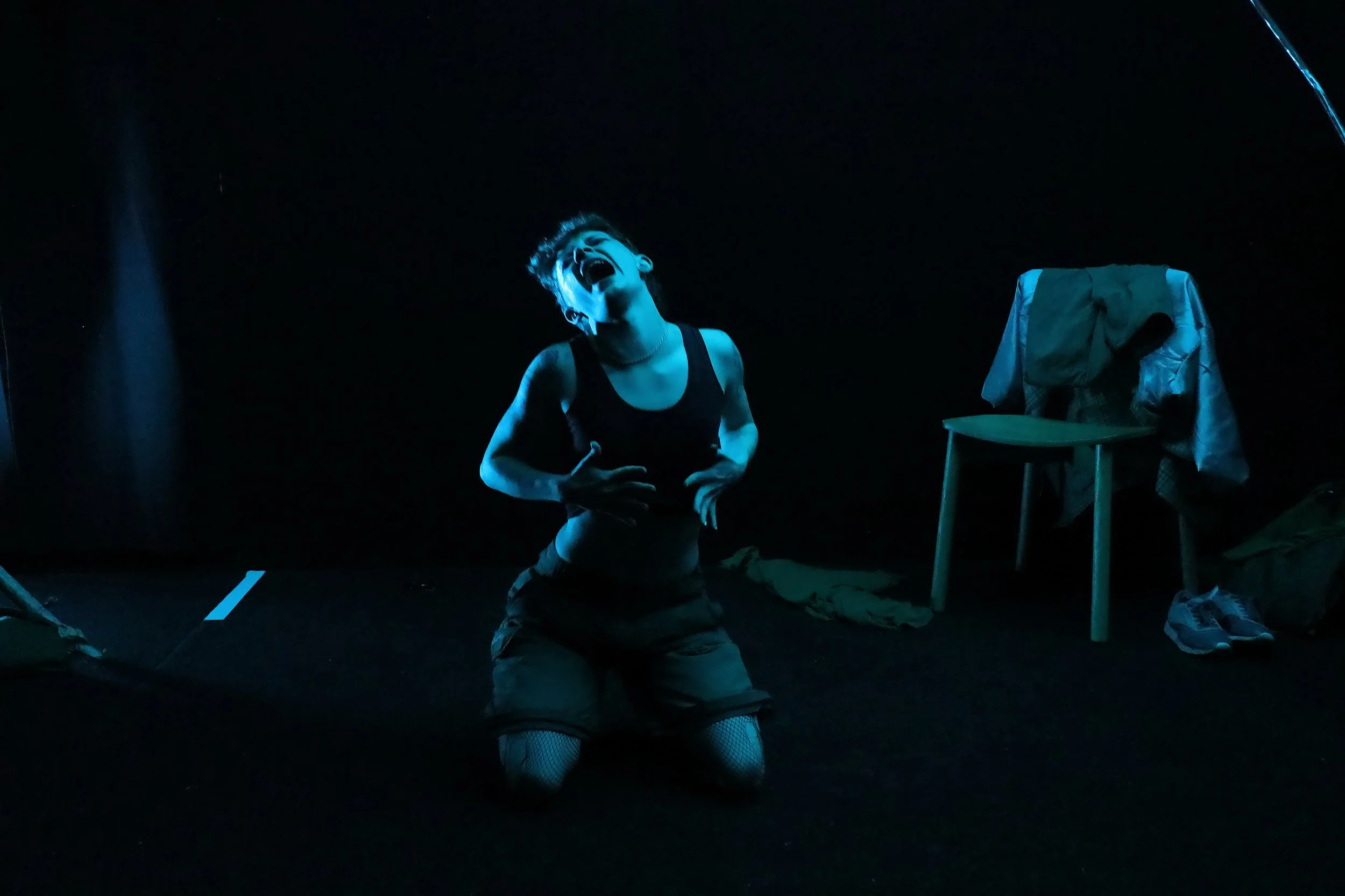 Poems of a TransSEXual Nature