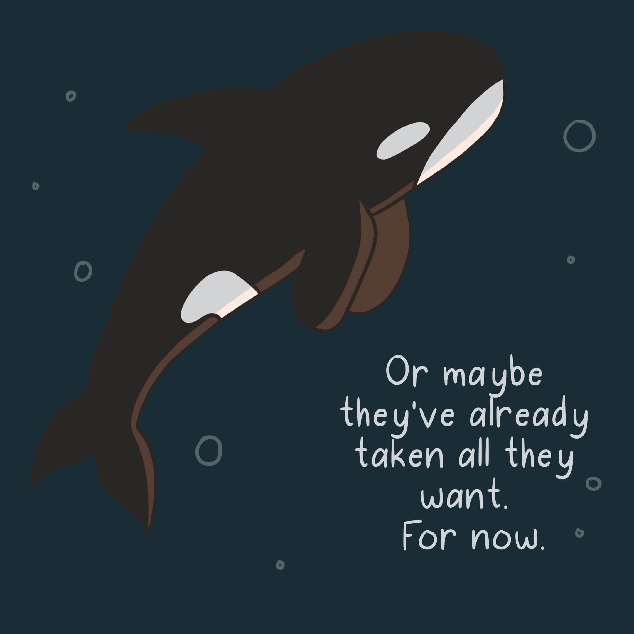 Orcas — SeraBeeves