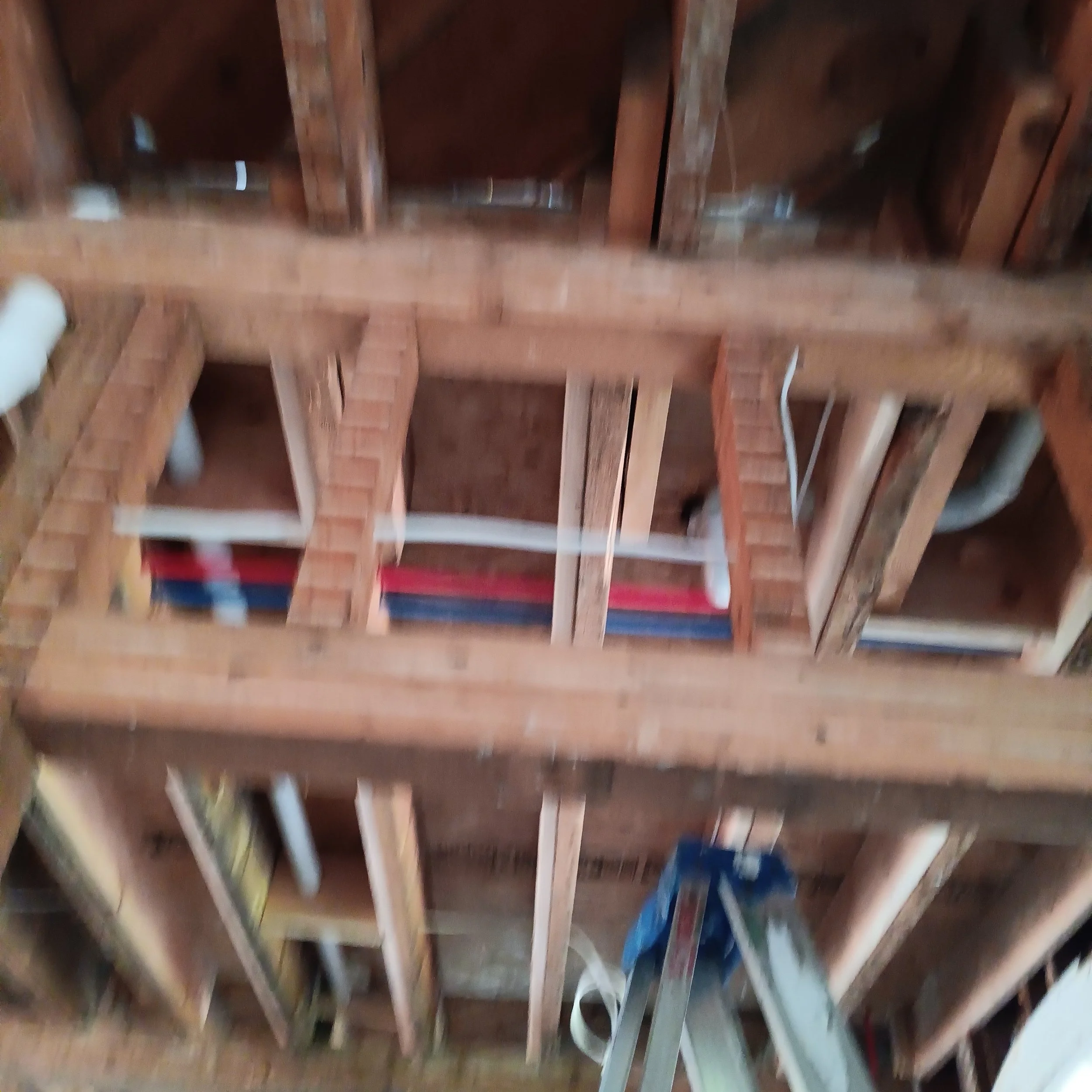 IMG_0711.jpeg