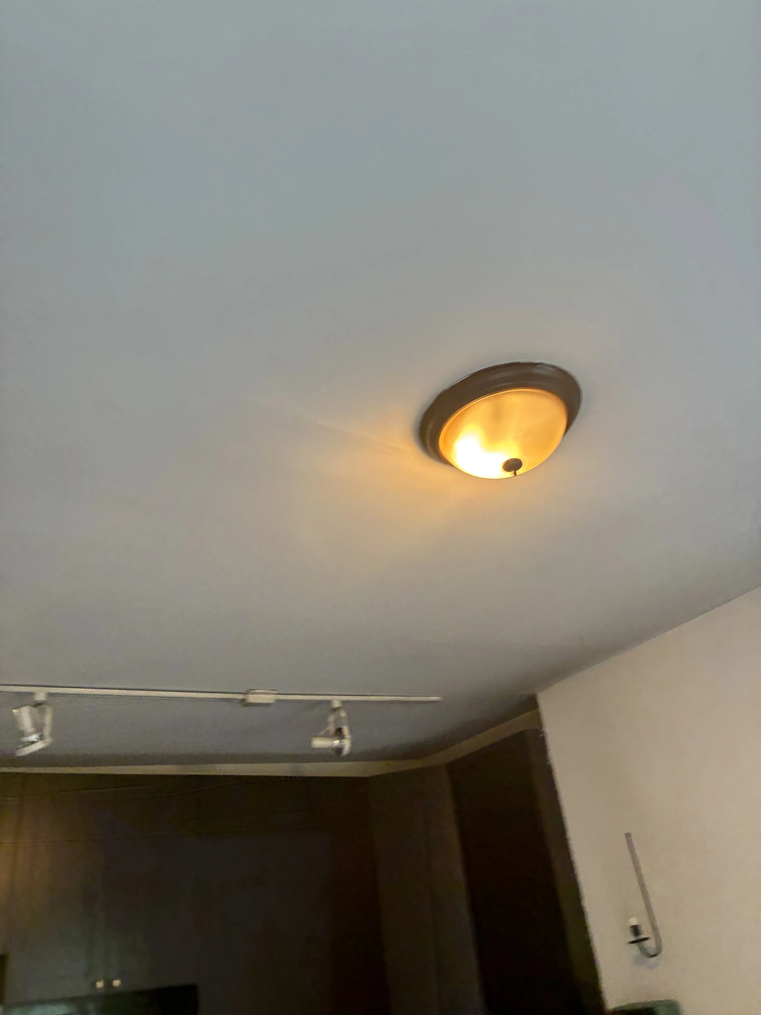 IMG_5589.jpeg
