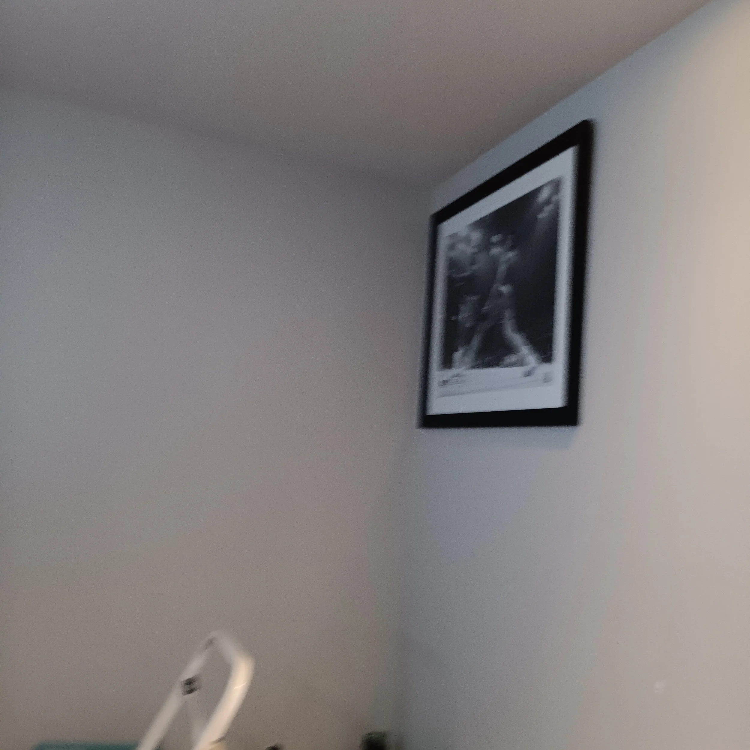IMG_0300.jpeg