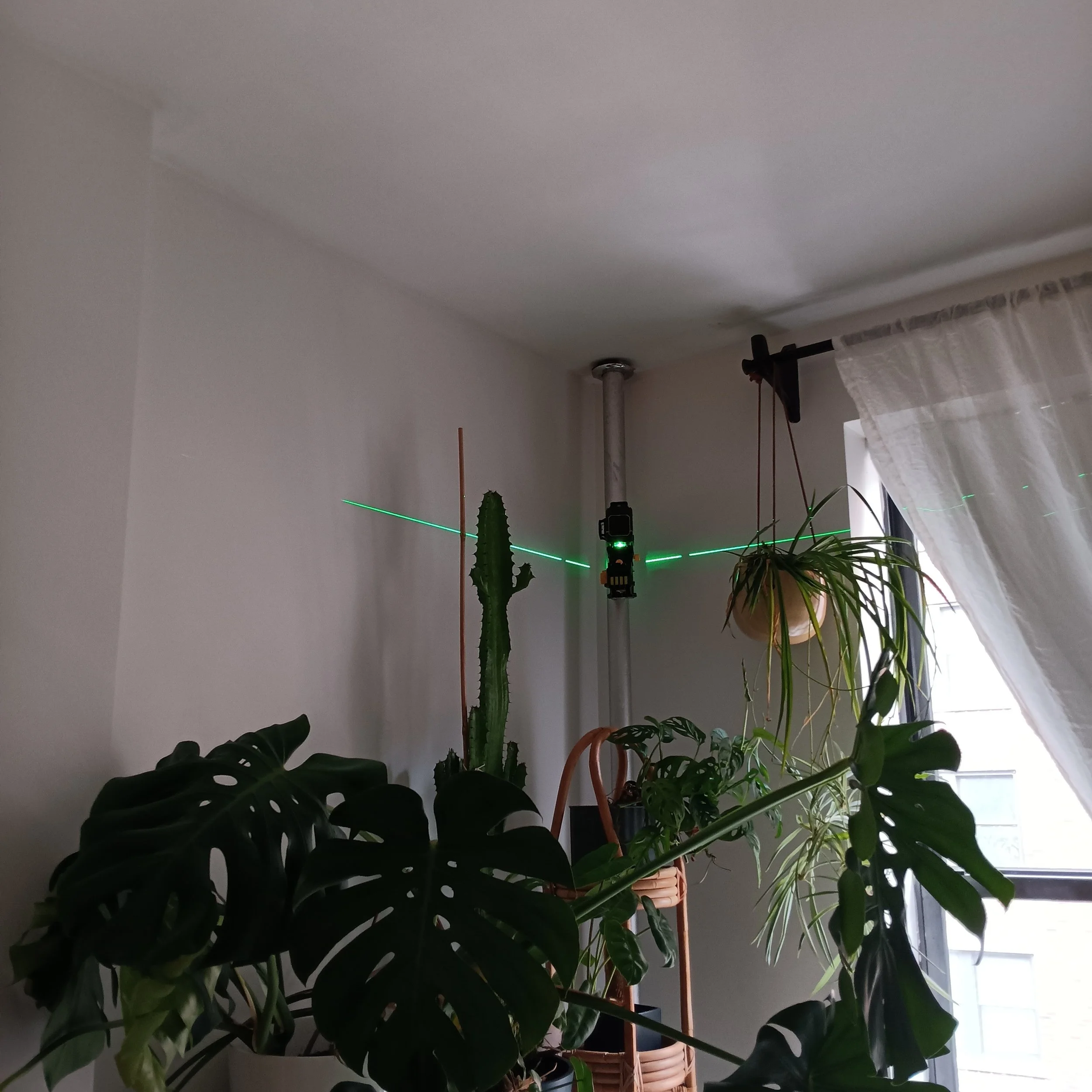 IMG_0098.jpeg