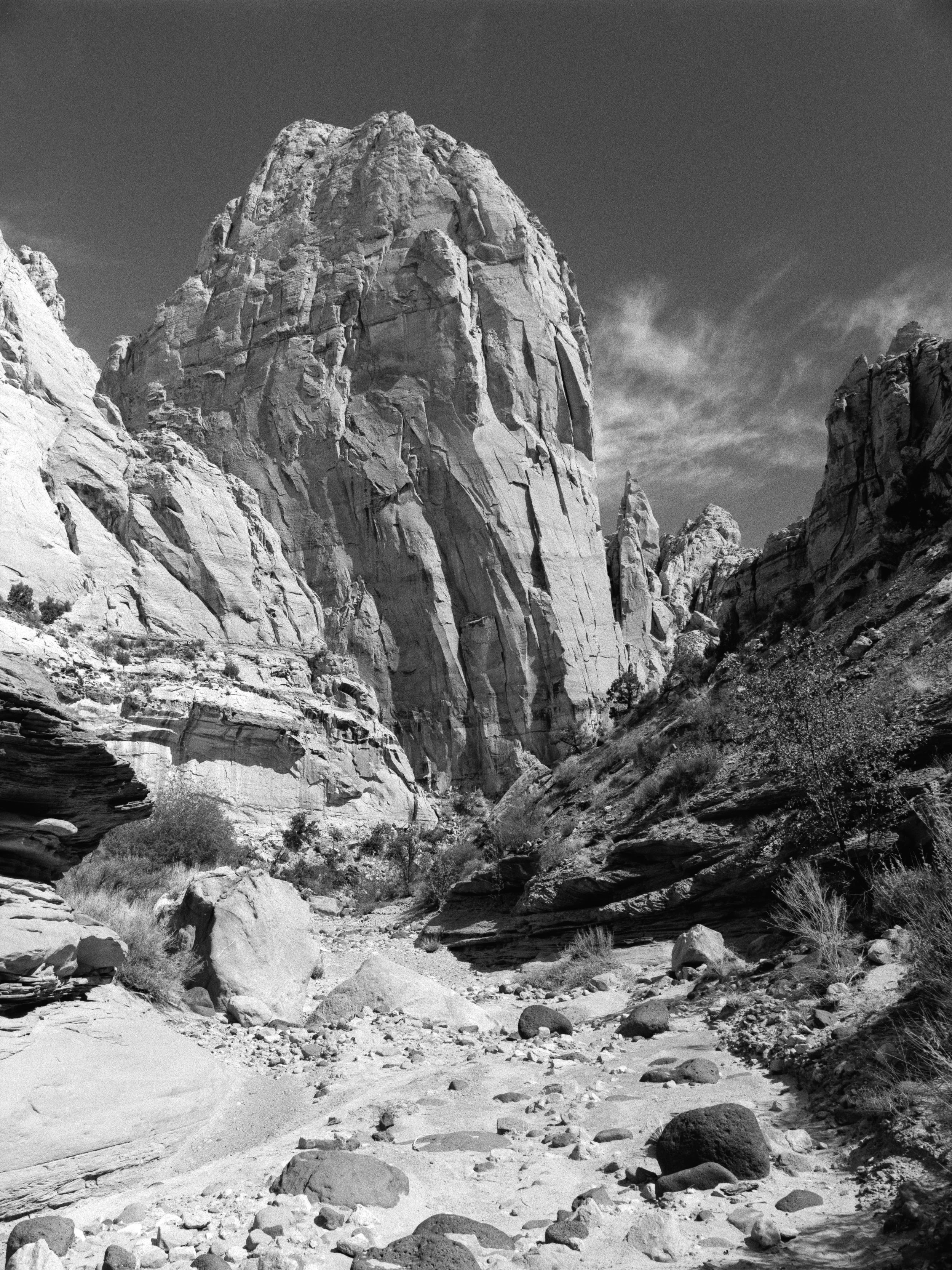No Coral At Capitol Reef
