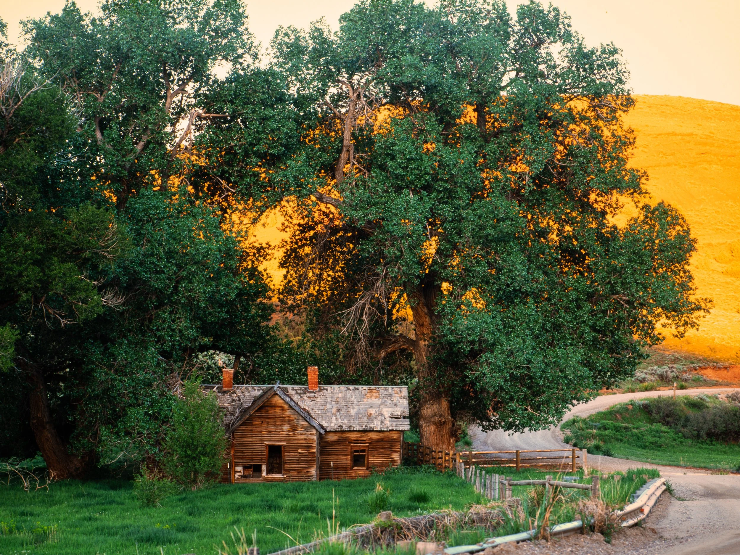 Squarespace Images-9.jpg
