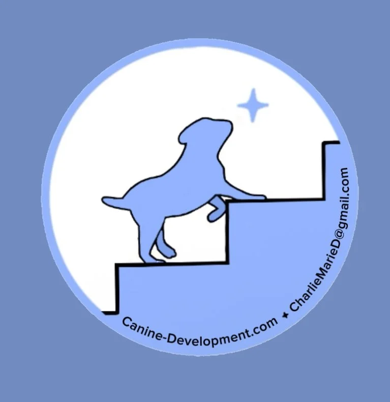 Overnight (your home) Pet sitting/Care and Enrichment