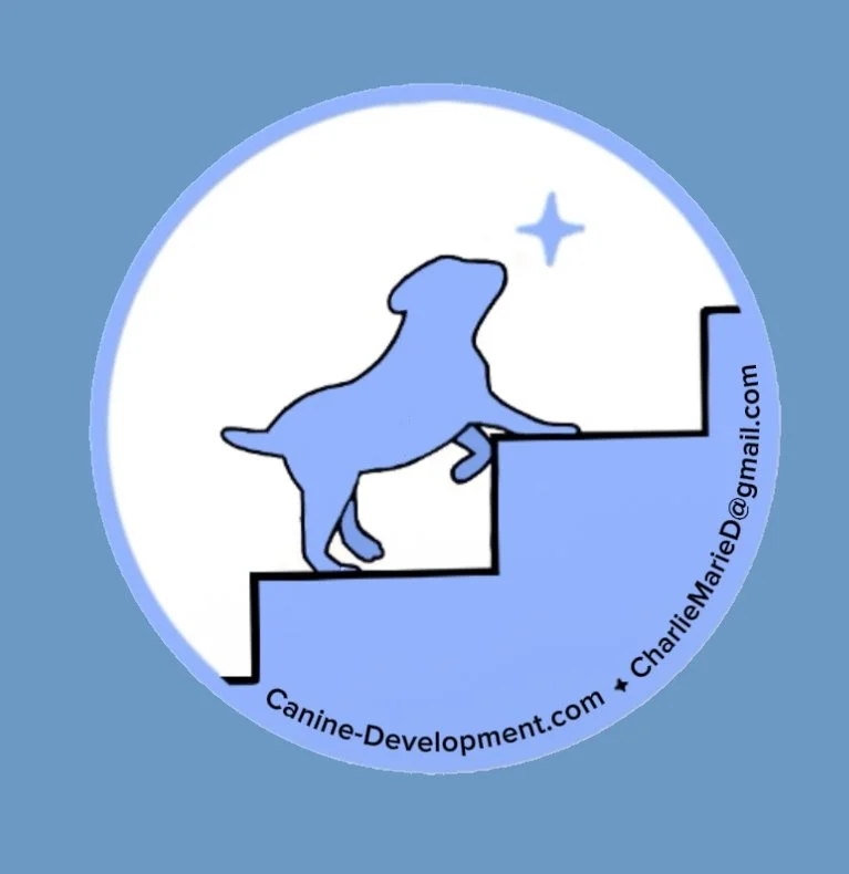 Remote Canine Development Coaching