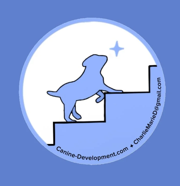 Consultation for Pre and Post Aquisition