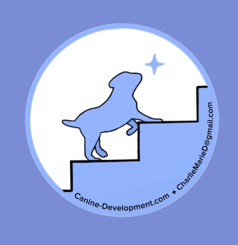 Crucial Puppy Care/Training:  In my home for 2-4 weeks