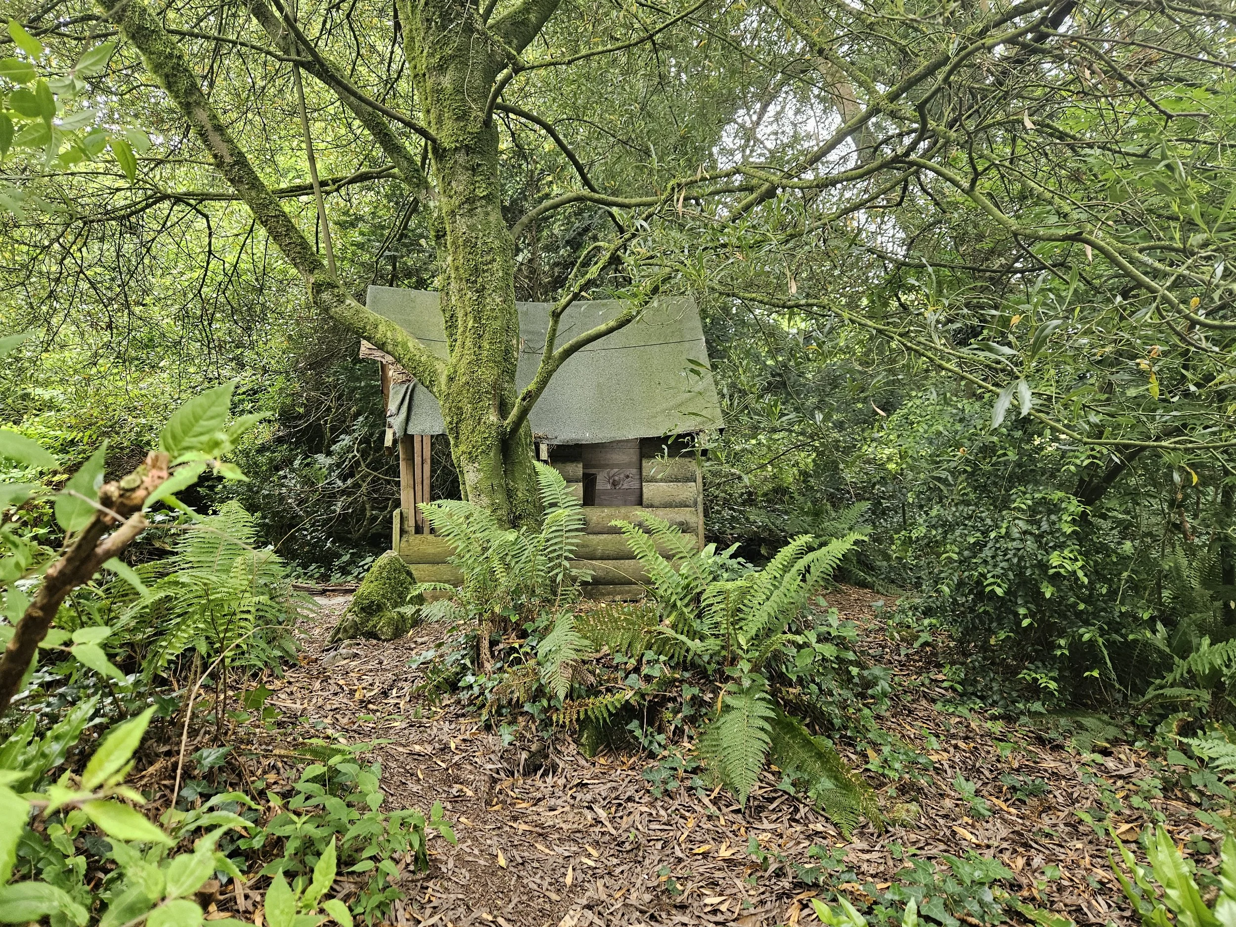Mysterious structure