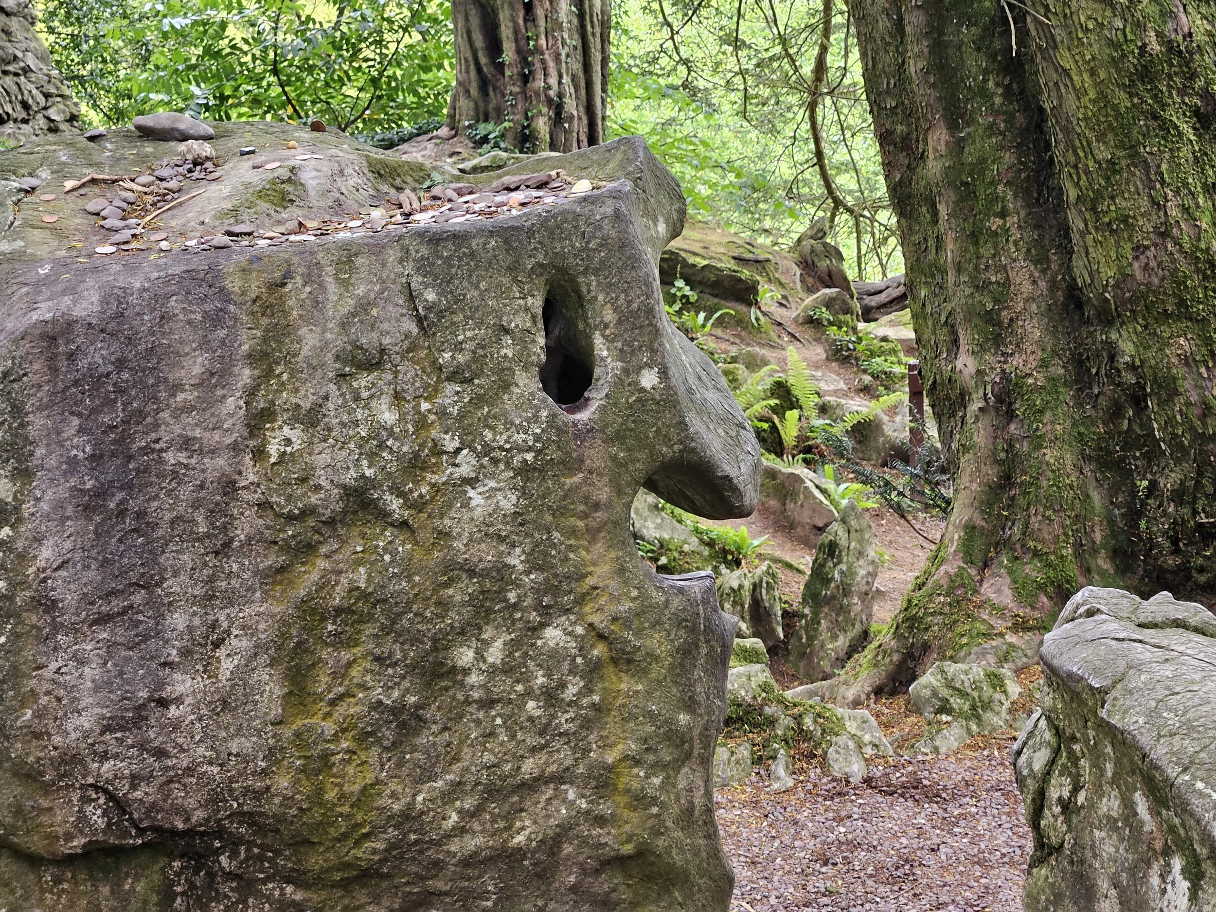 The witch stone