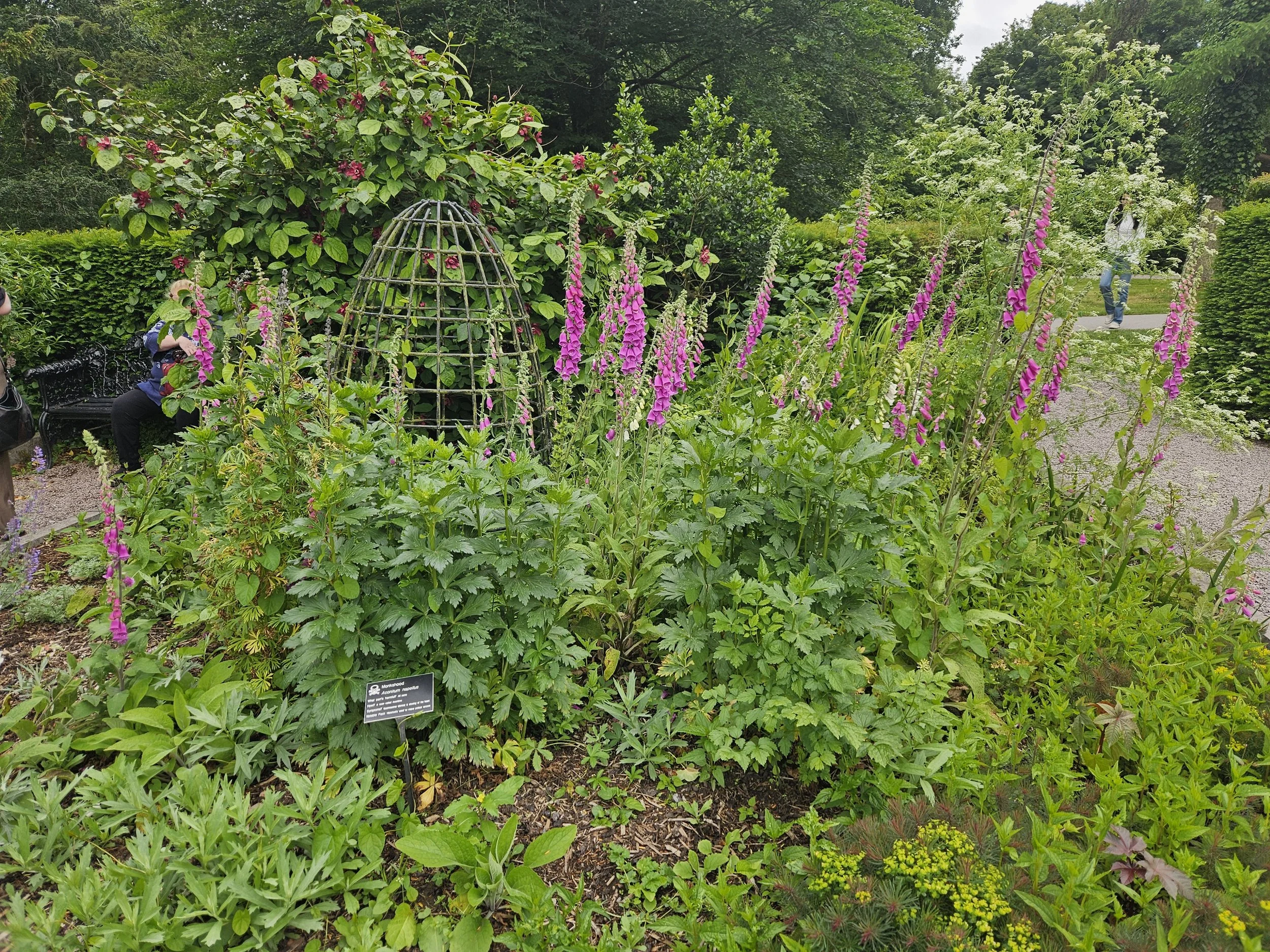 Plants from the poison garden
