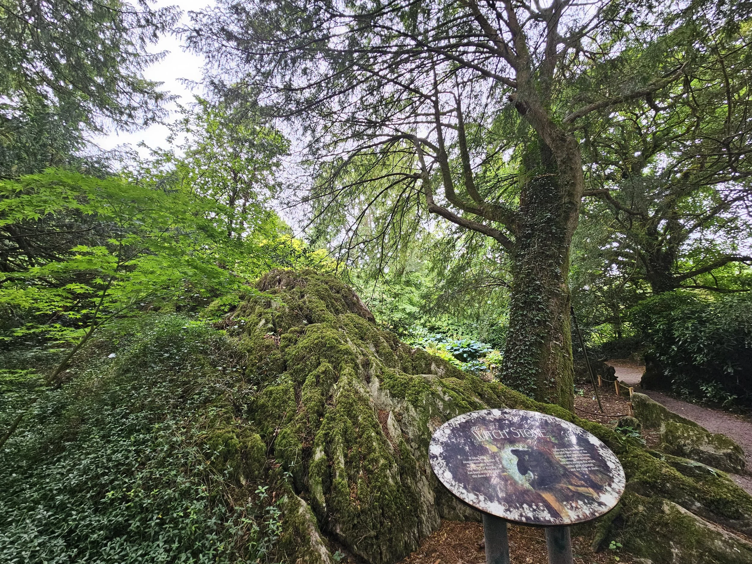 Legend about the witch of the garden