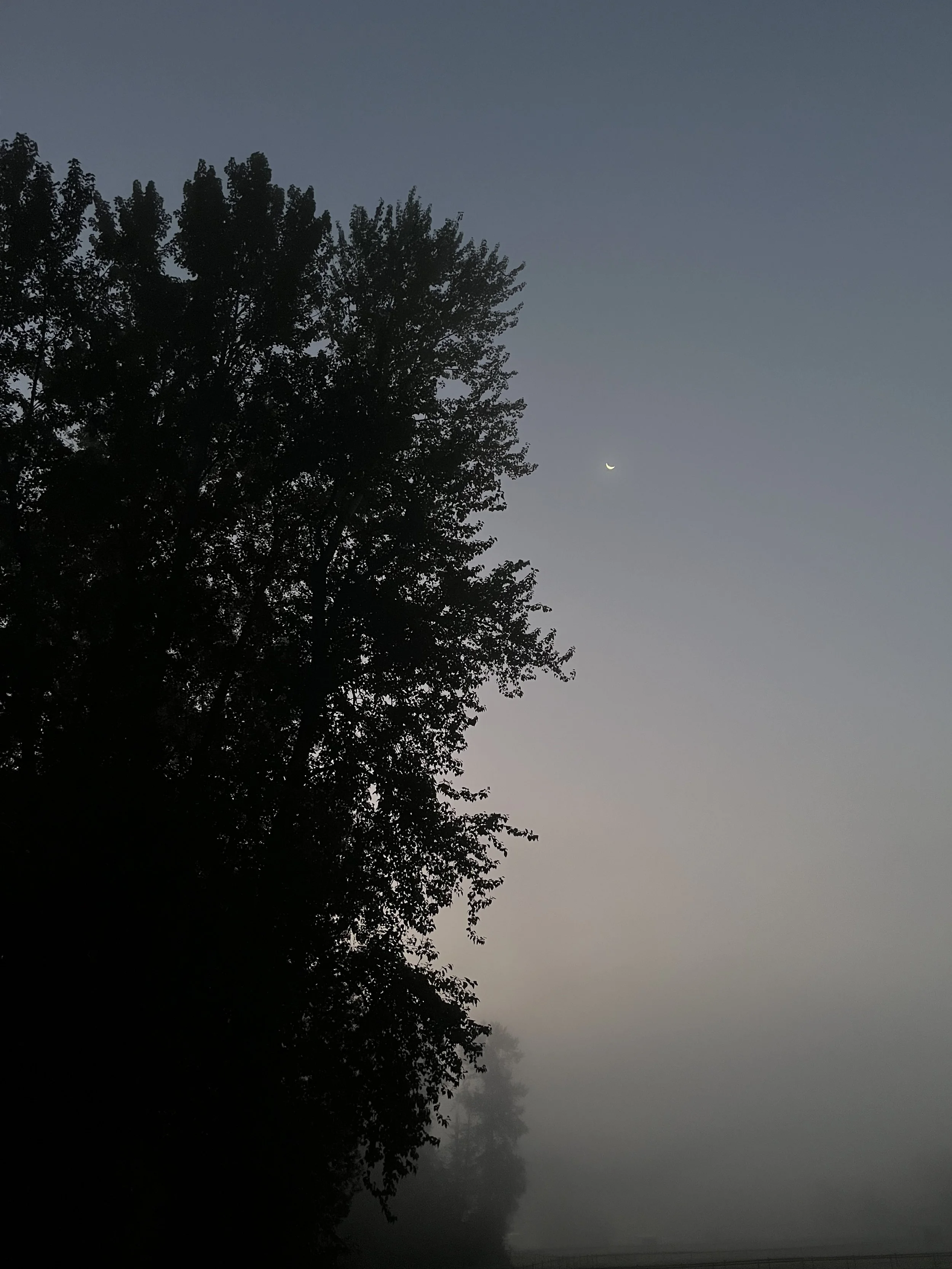 IMG_0188.jpeg