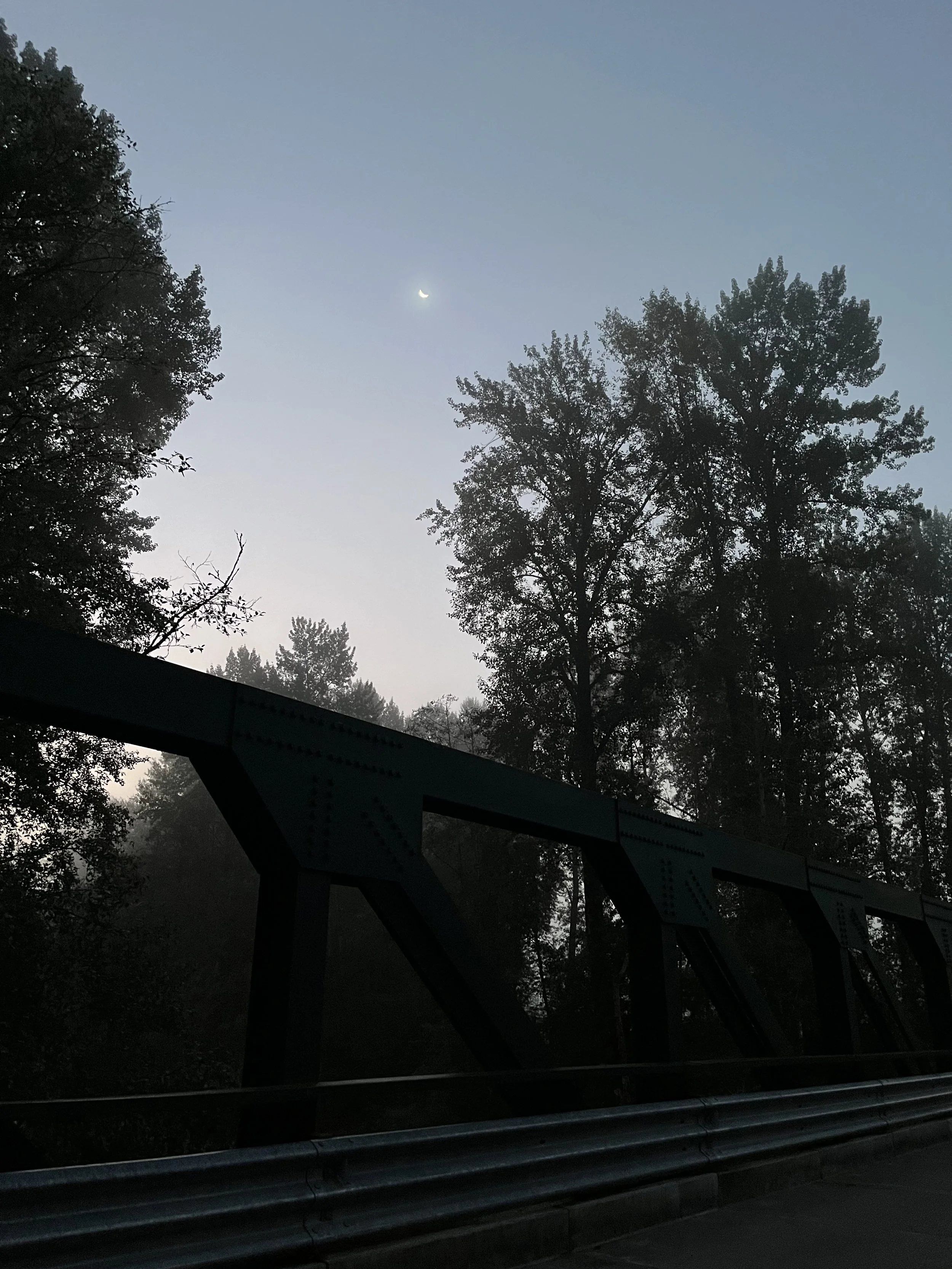 IMG_0183.jpeg