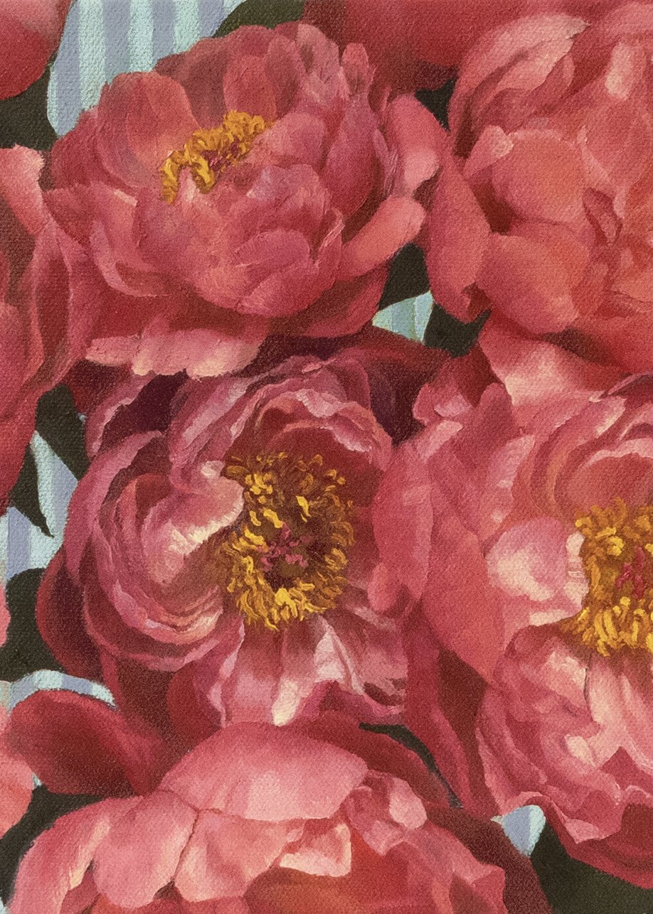 Striped Peonies