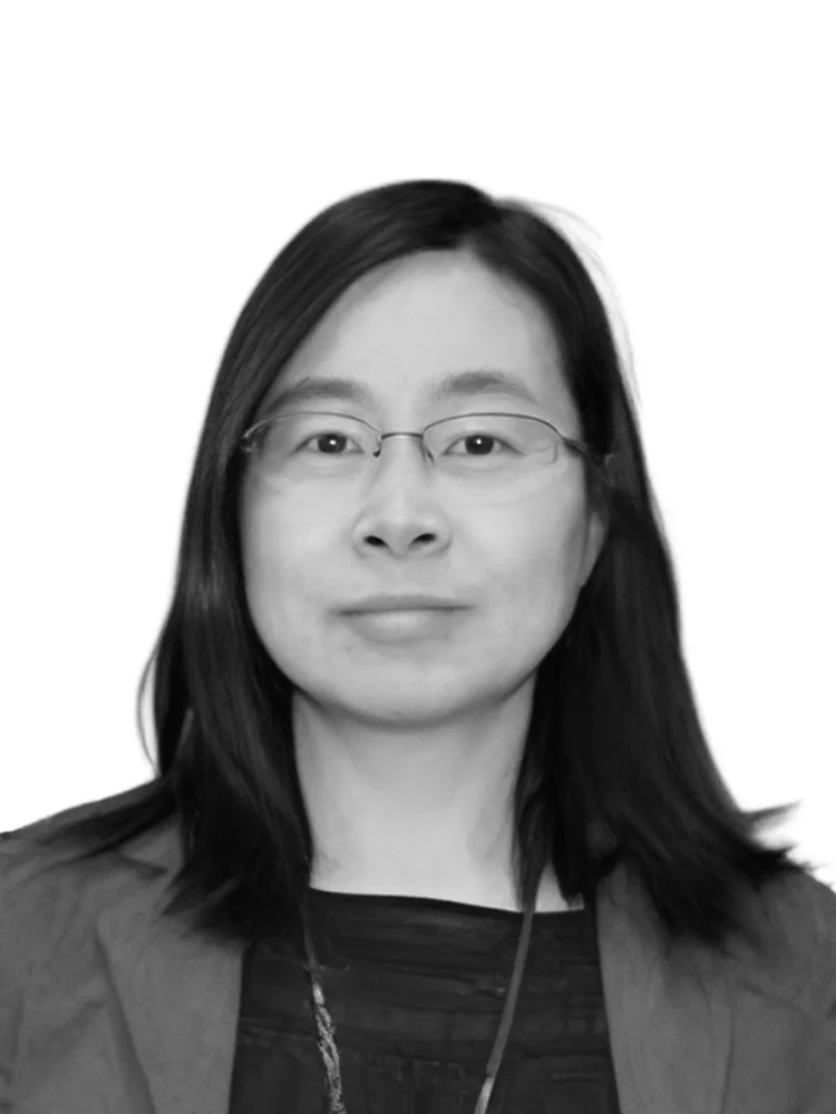 Portrait of Ziping Wang