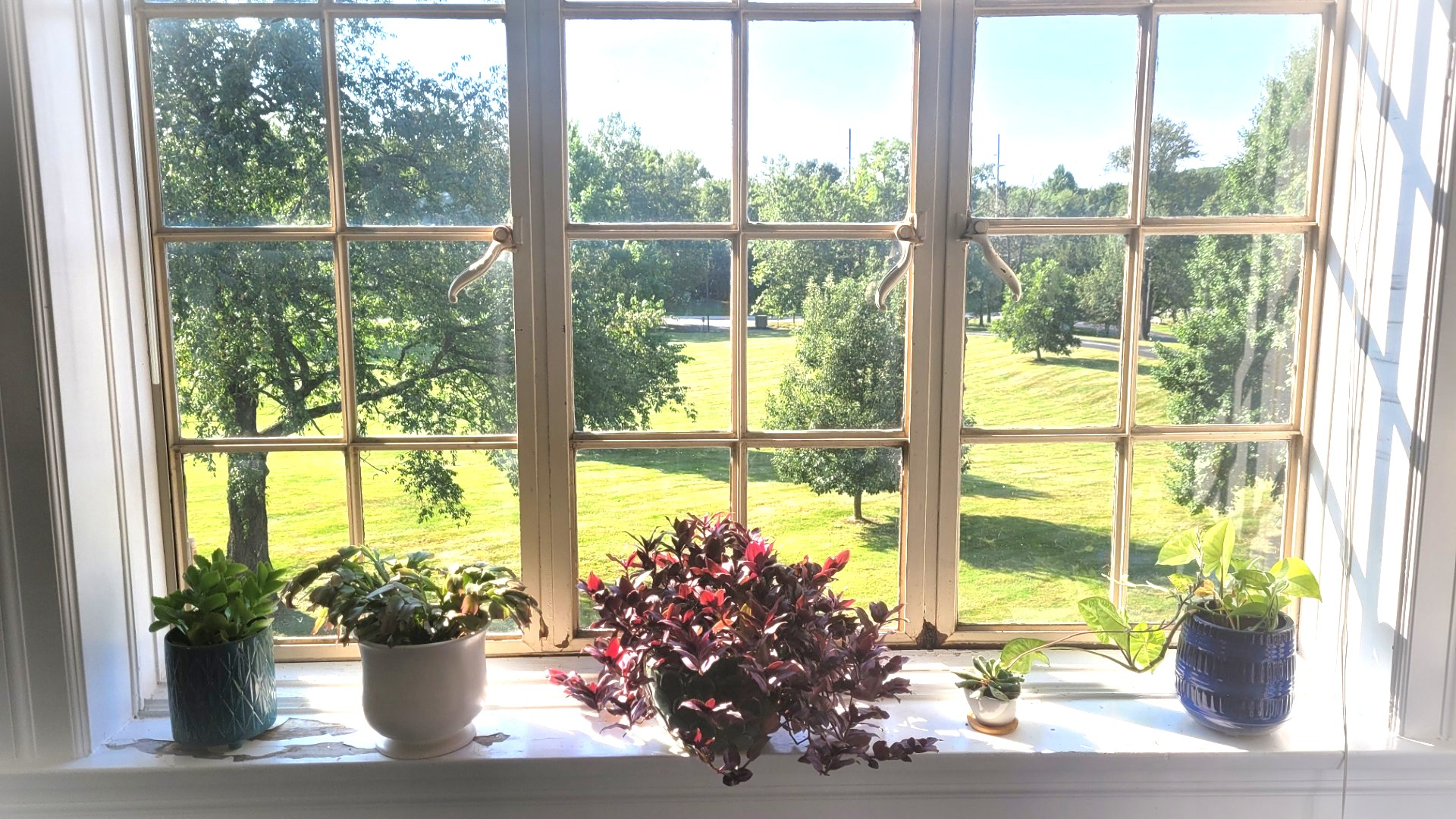 David Bolander Psychotherapy — Integrative therapy for adults navigating emotional dysregulation, anxiety, depression, trauma, and major life transitions.