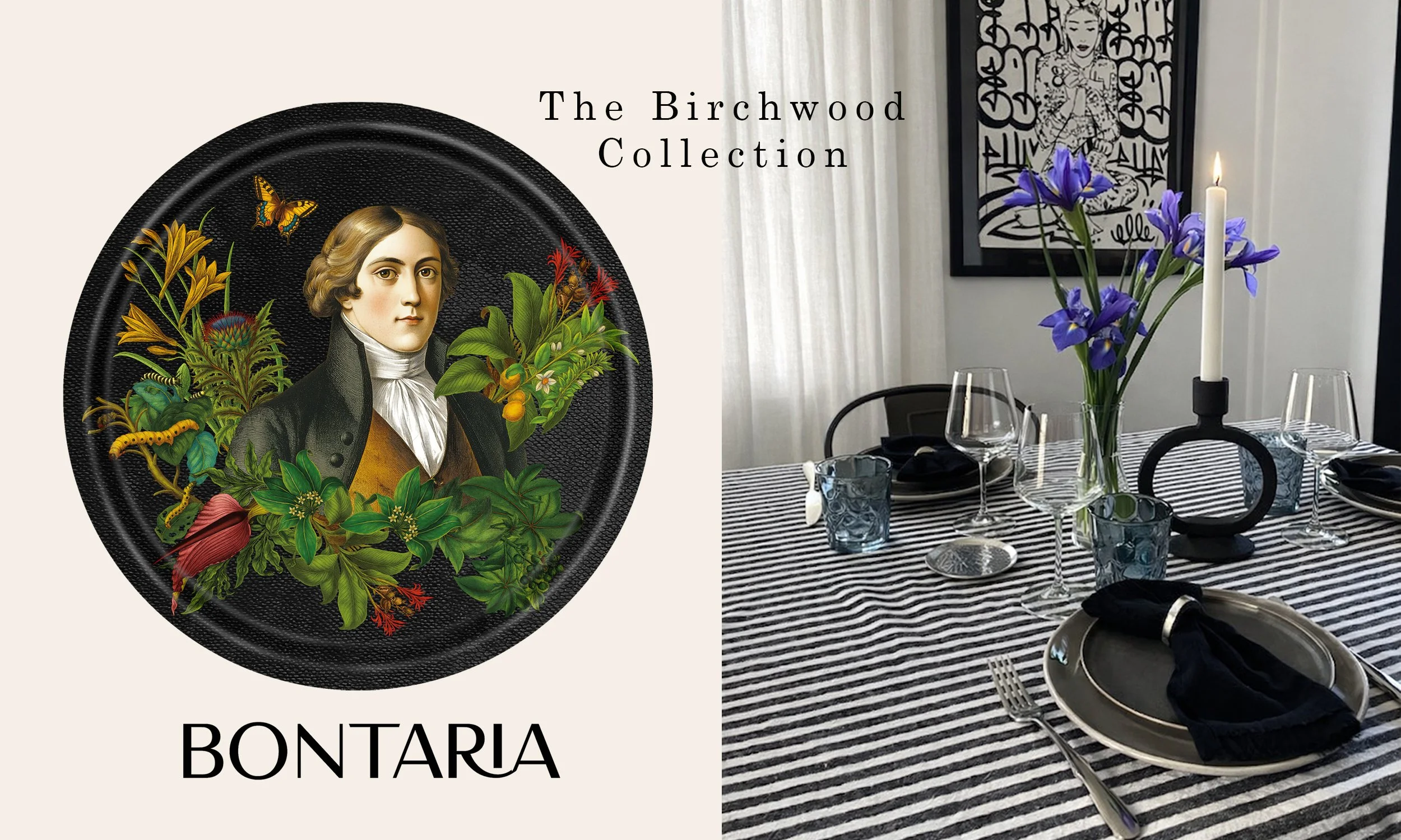 The birchwood colletction BANNER copy.jpg